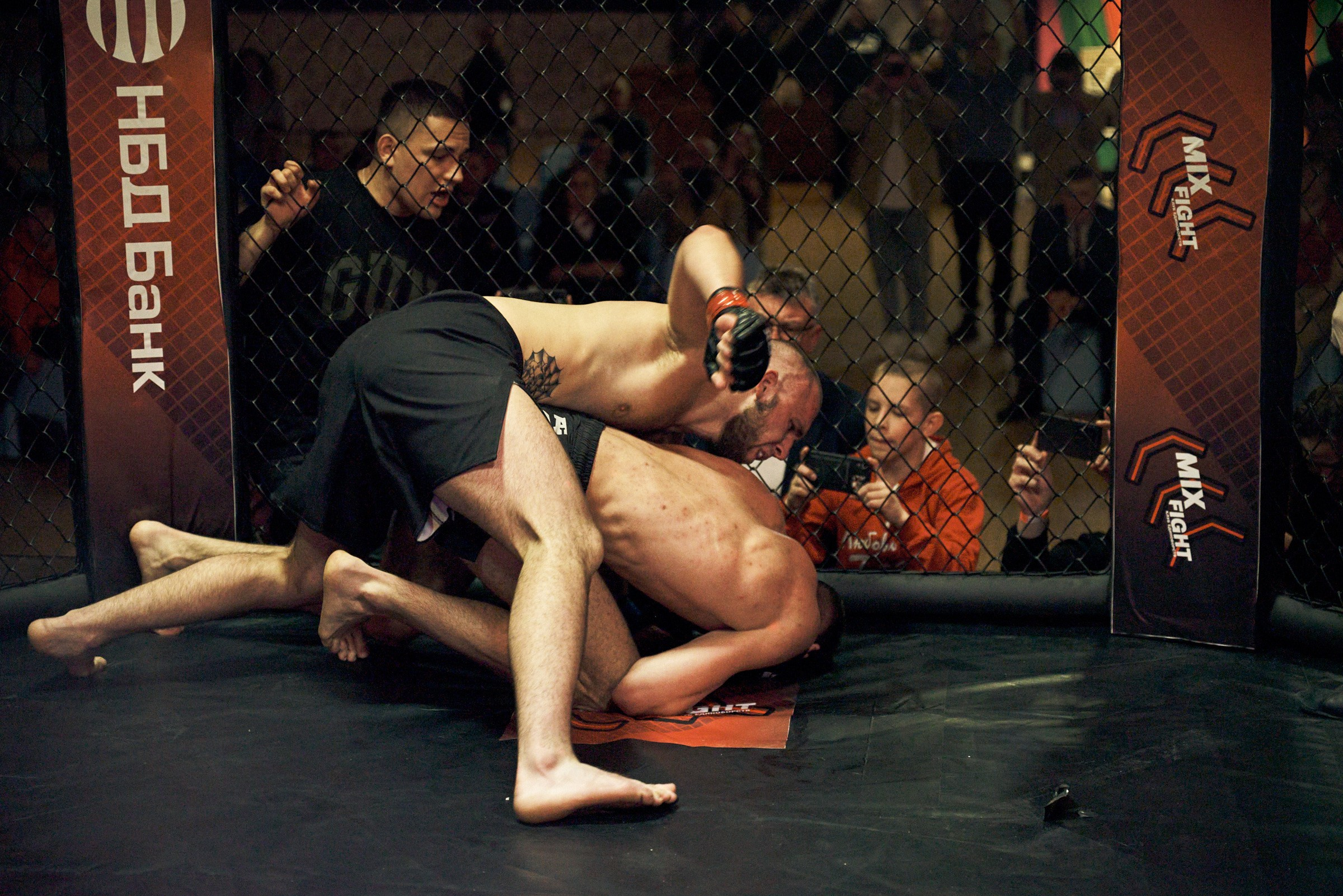 Бои. Маляревич Дмитрий свадебный фотограф