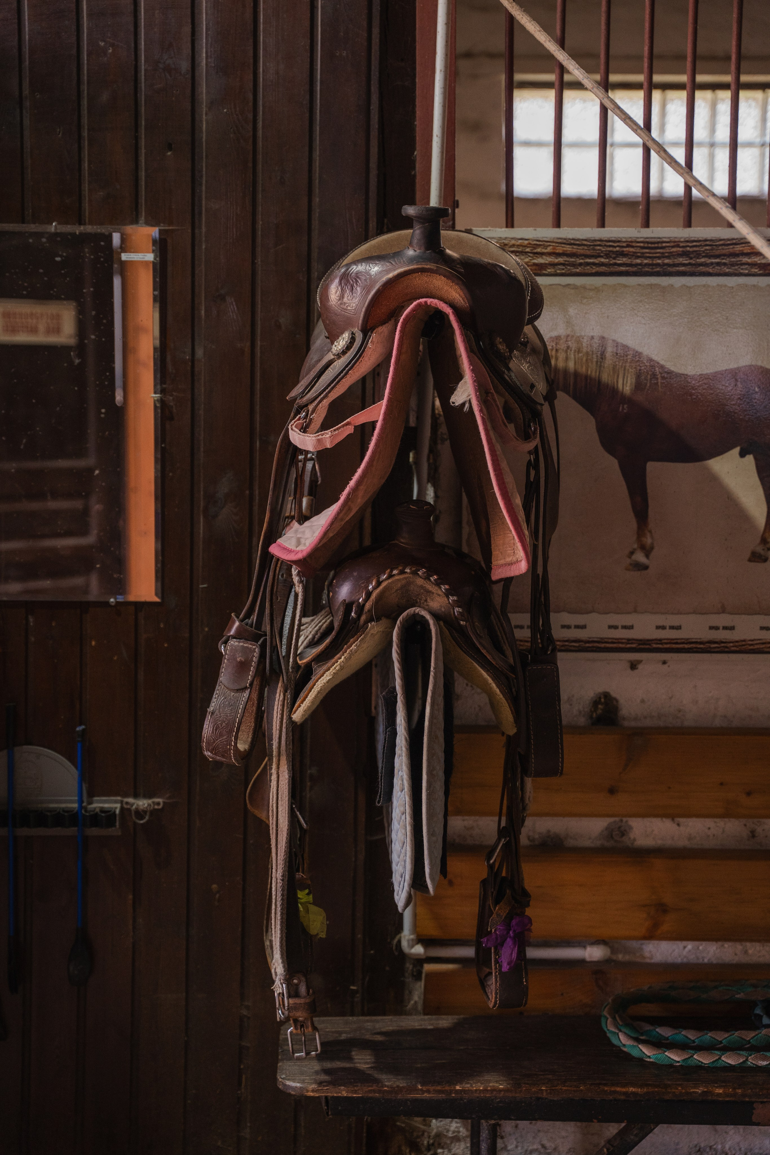 Конное занятие. Главная