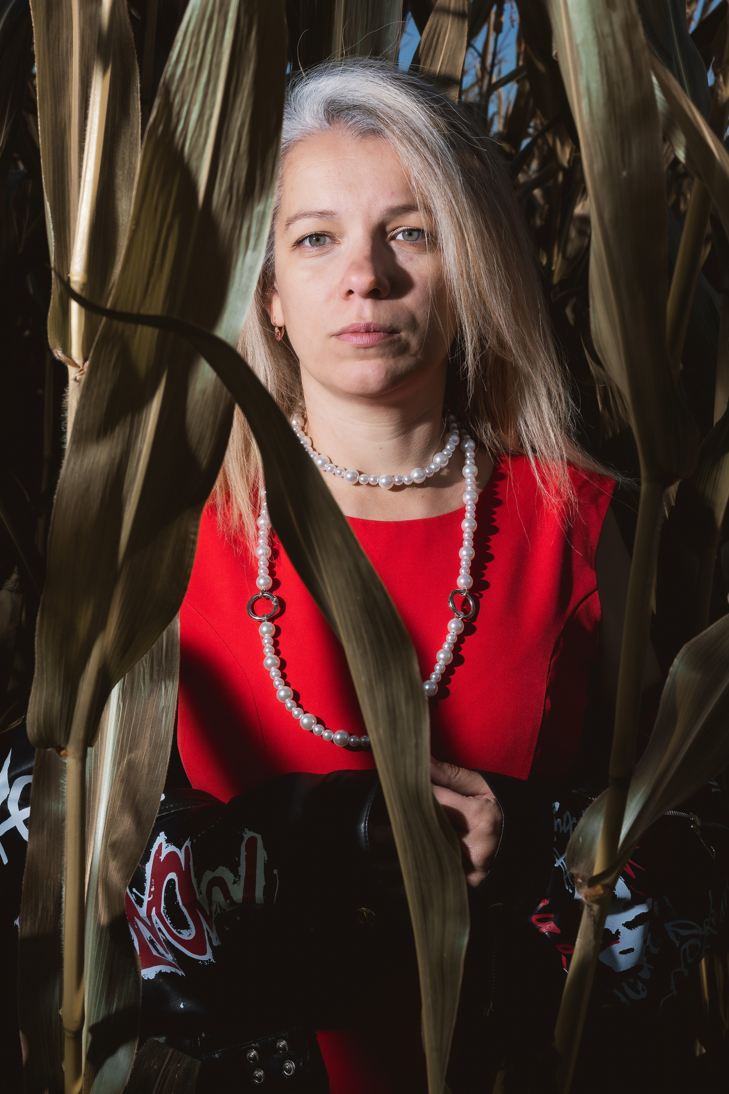 фото в кукурузе