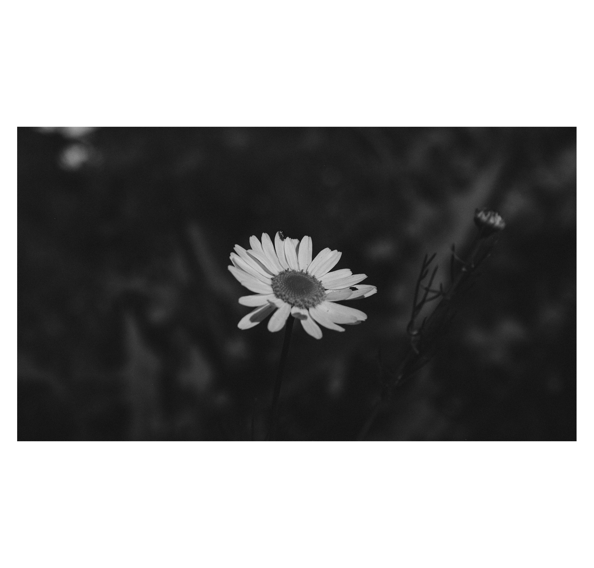 Ekb2.0. Фотограф/дизайнер в Екатеринбурге Хитрый Дмитрий