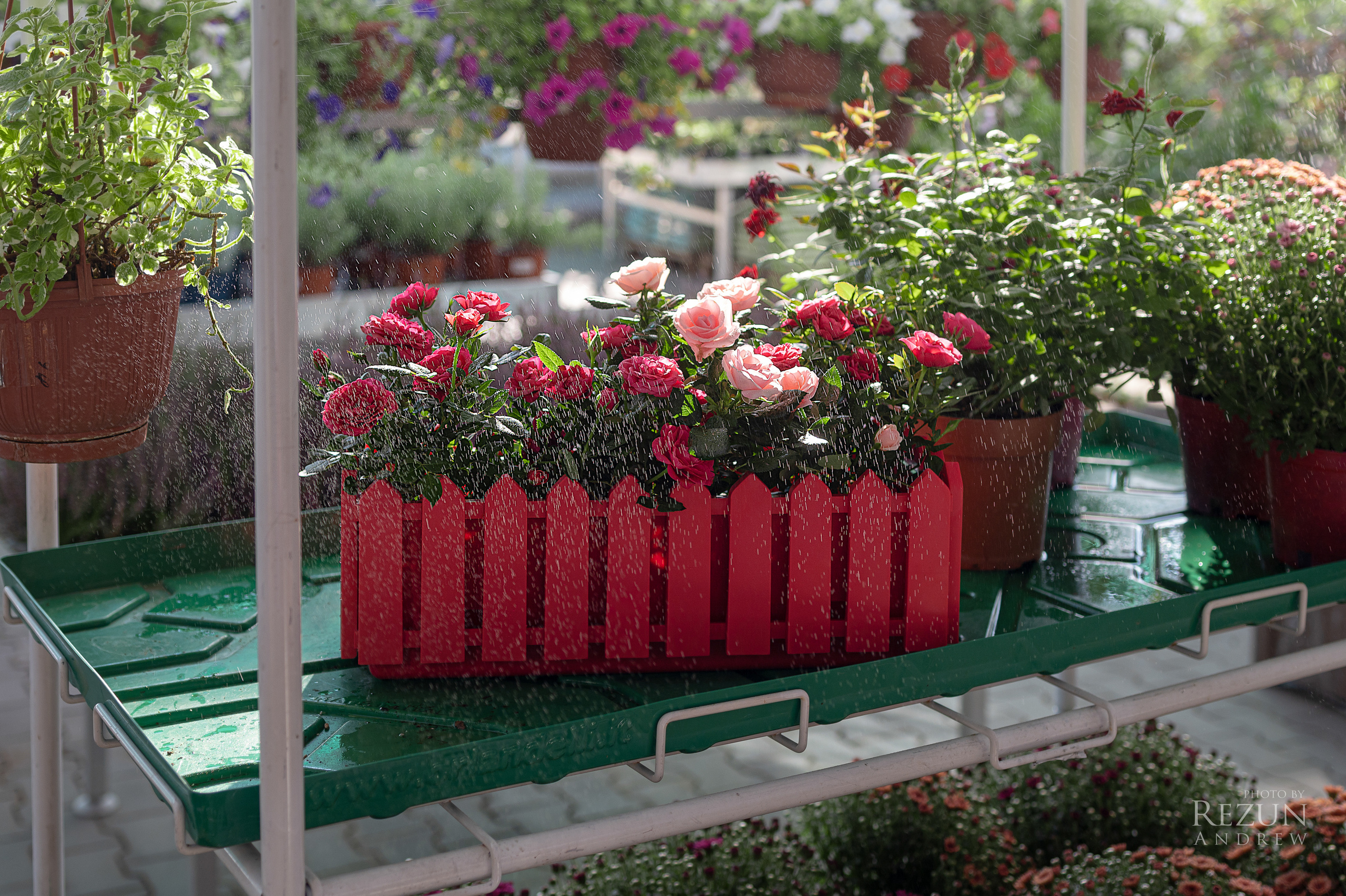 Рекламная фотография. Фотограф в Краснодаре, Москве, Санкт-Петербурге Андрей Резун