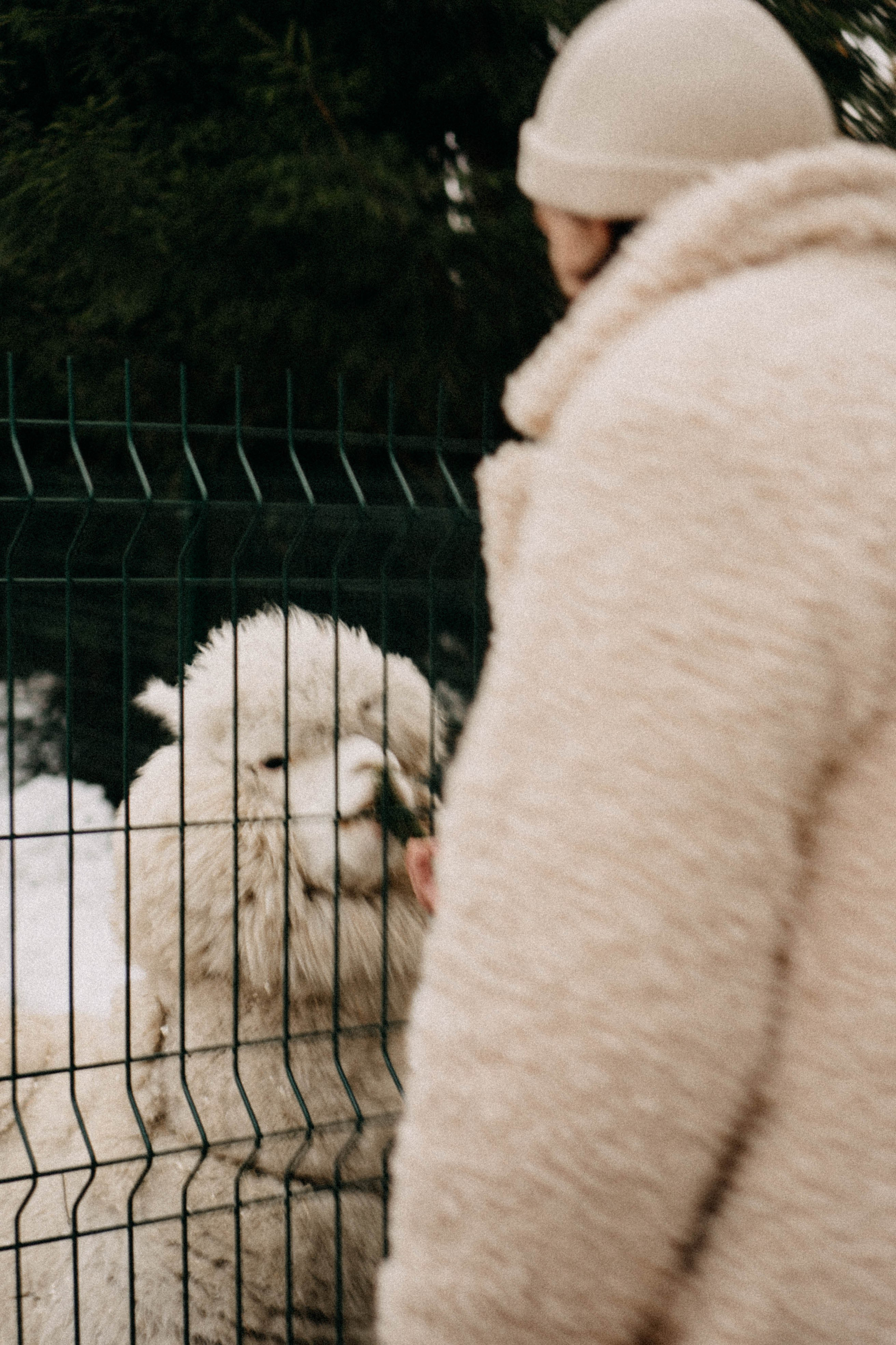Каток. Профессиональный фотограф, Санкт-Петербург — Виктория Богомолова