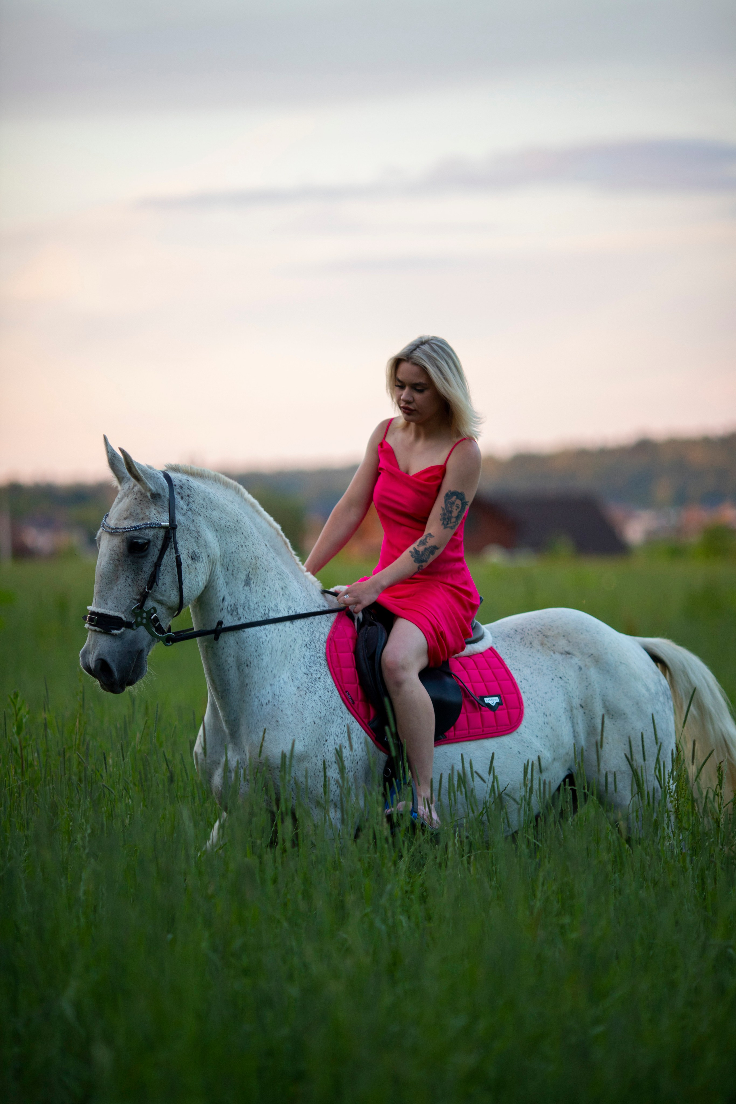 С лошадьми. Фотограф в Москве и в Московской области Сандра