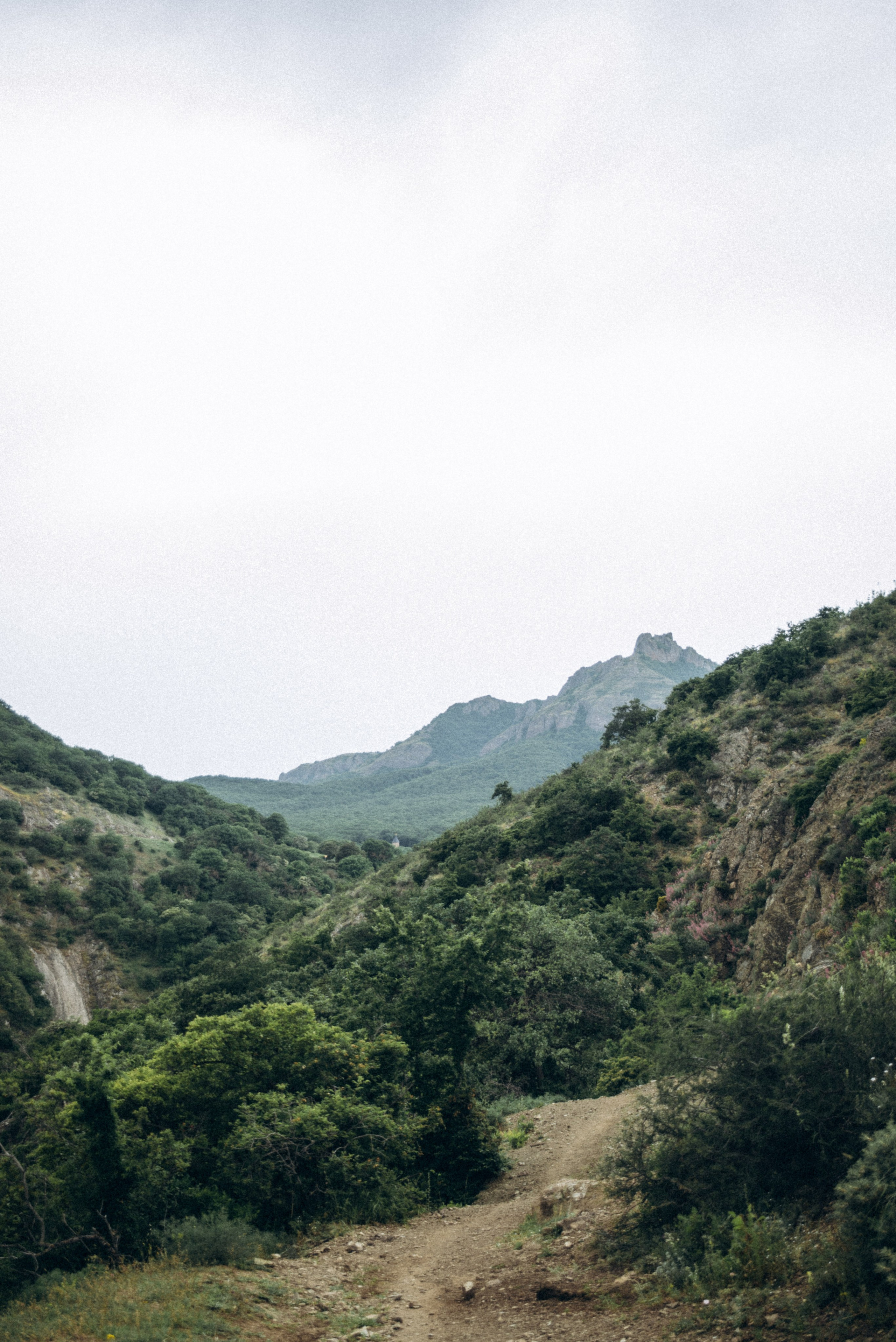 Коджори, Грузия 🇬🇪 «Honey Trip». Anita_photo