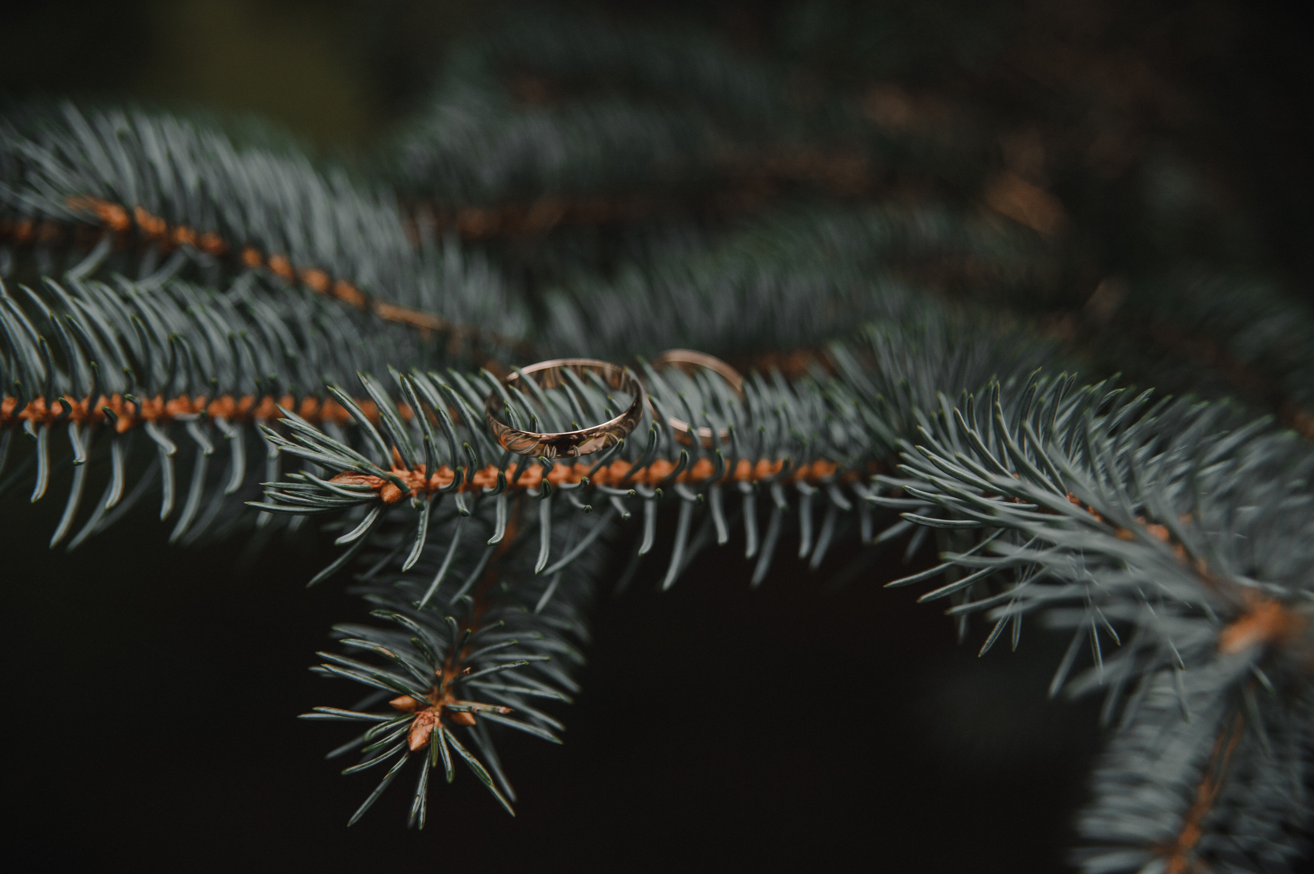 Артем и Света 27.08.2020. Свадебный и семейный фотограф в городе Смоленске