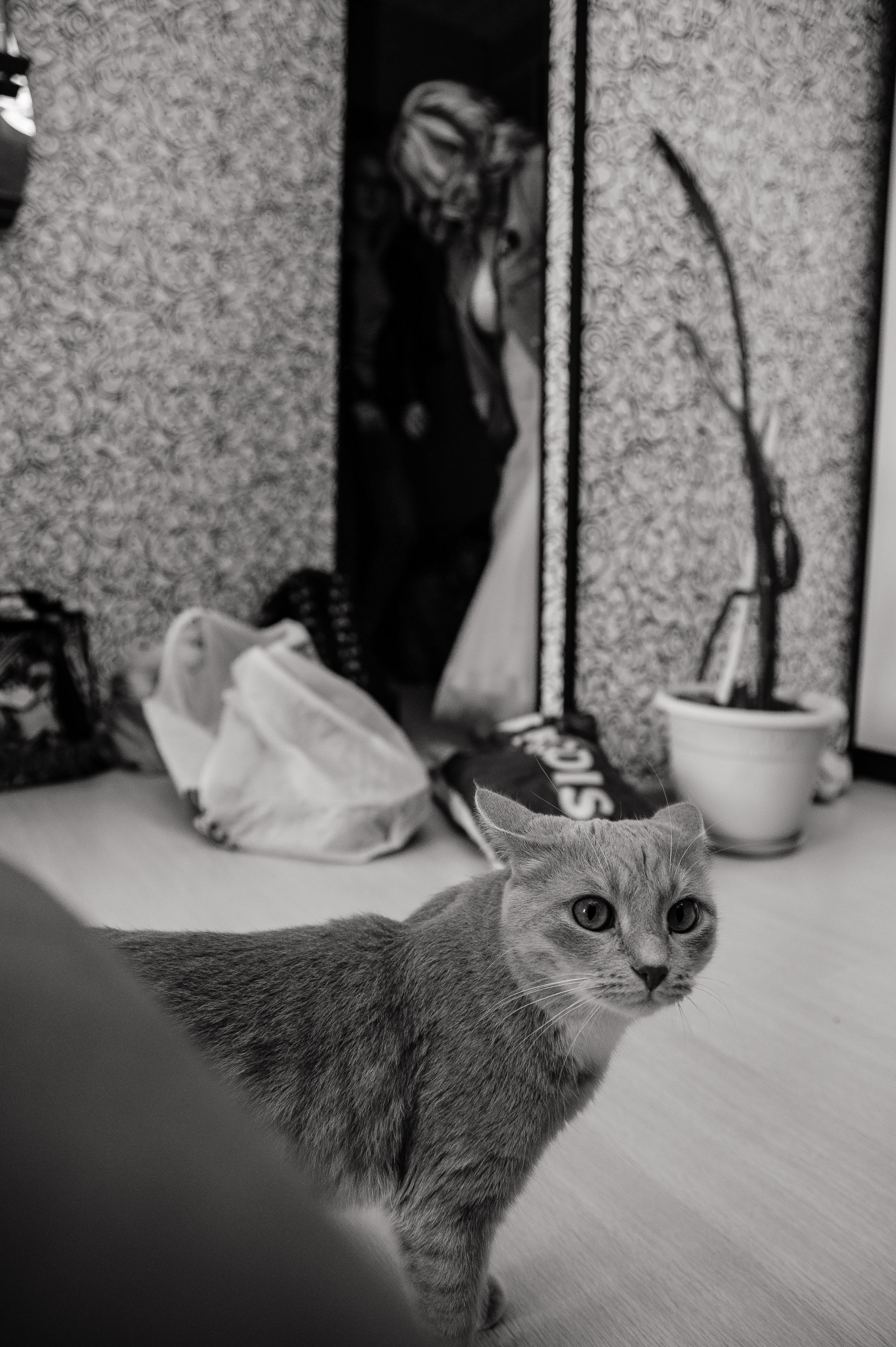 Максим и Евгения ситцевая свадьба. Свадебный и семейный фотограф в городе Смоленске