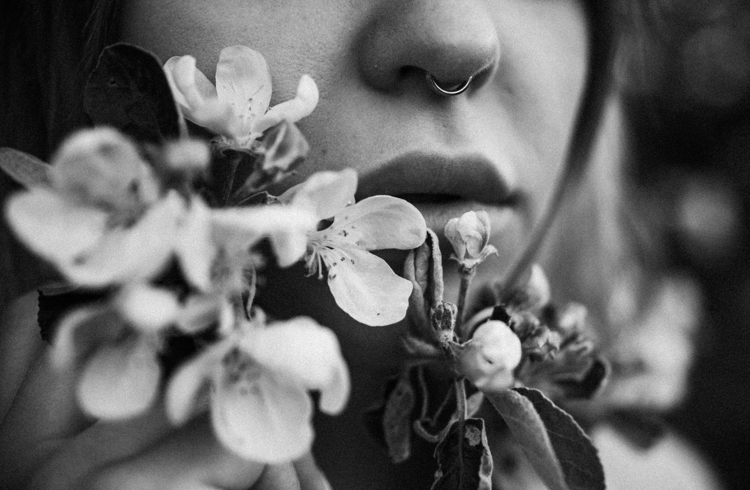 Фотосессия в яблонях. Свадебный и семейный фотограф в городе Смоленске