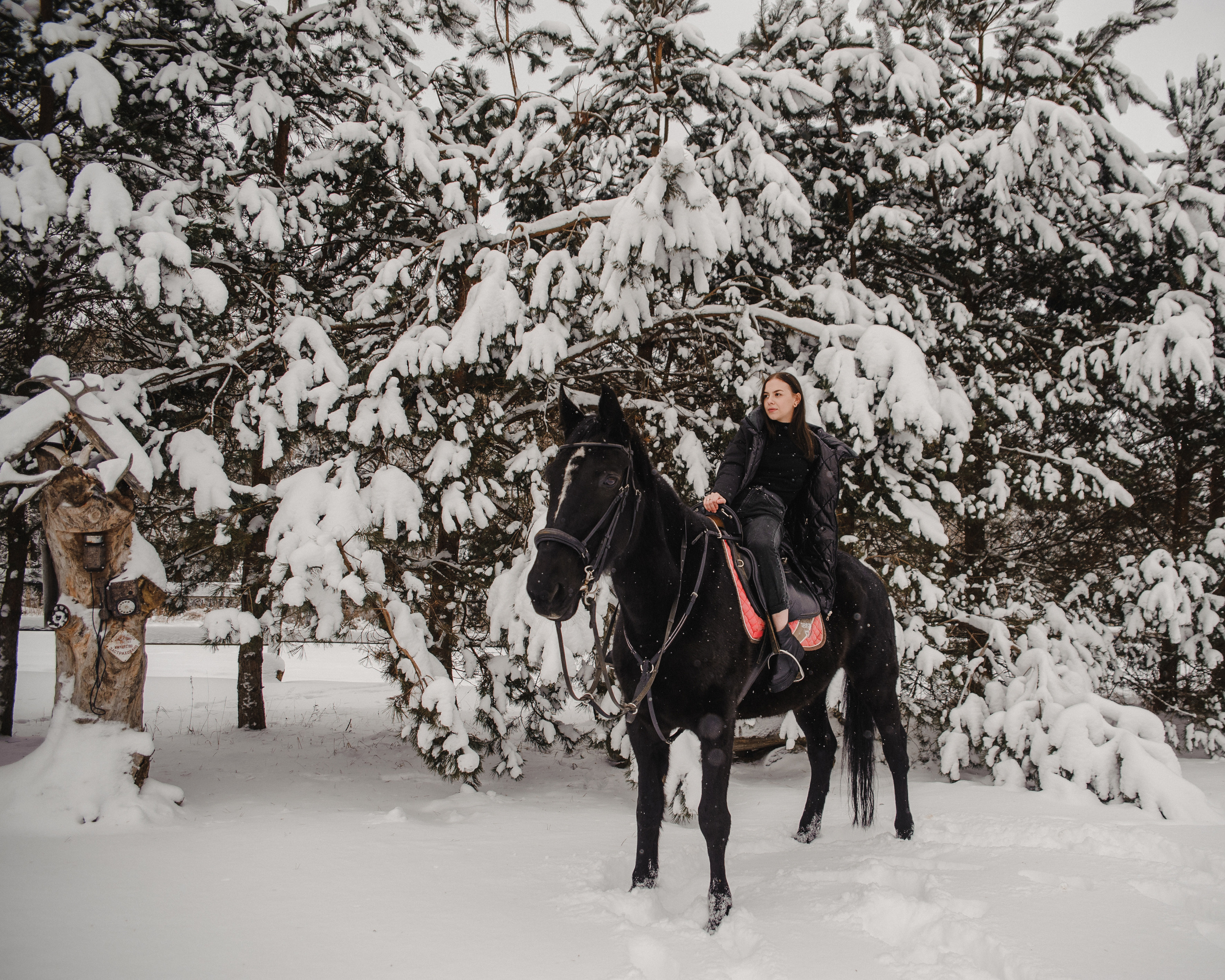 Артем и Настя «Предложение». Свадебный и семейный фотограф в городе Смоленске
