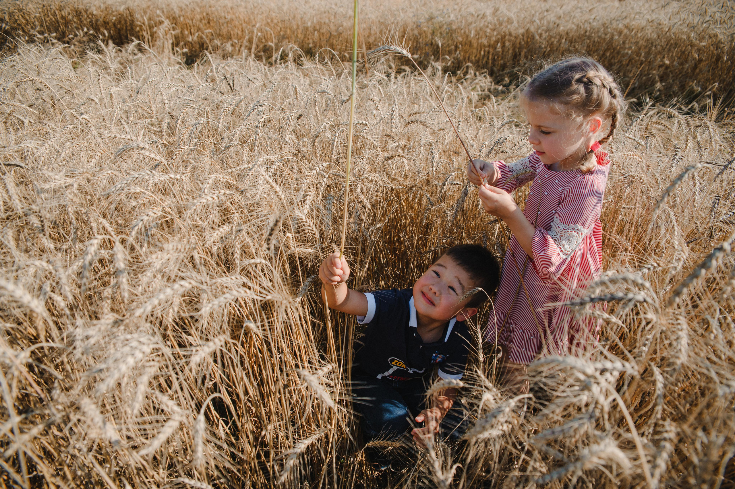 Кир Ира Саша Сеня. Свадебный и семейный фотограф в городе Смоленске