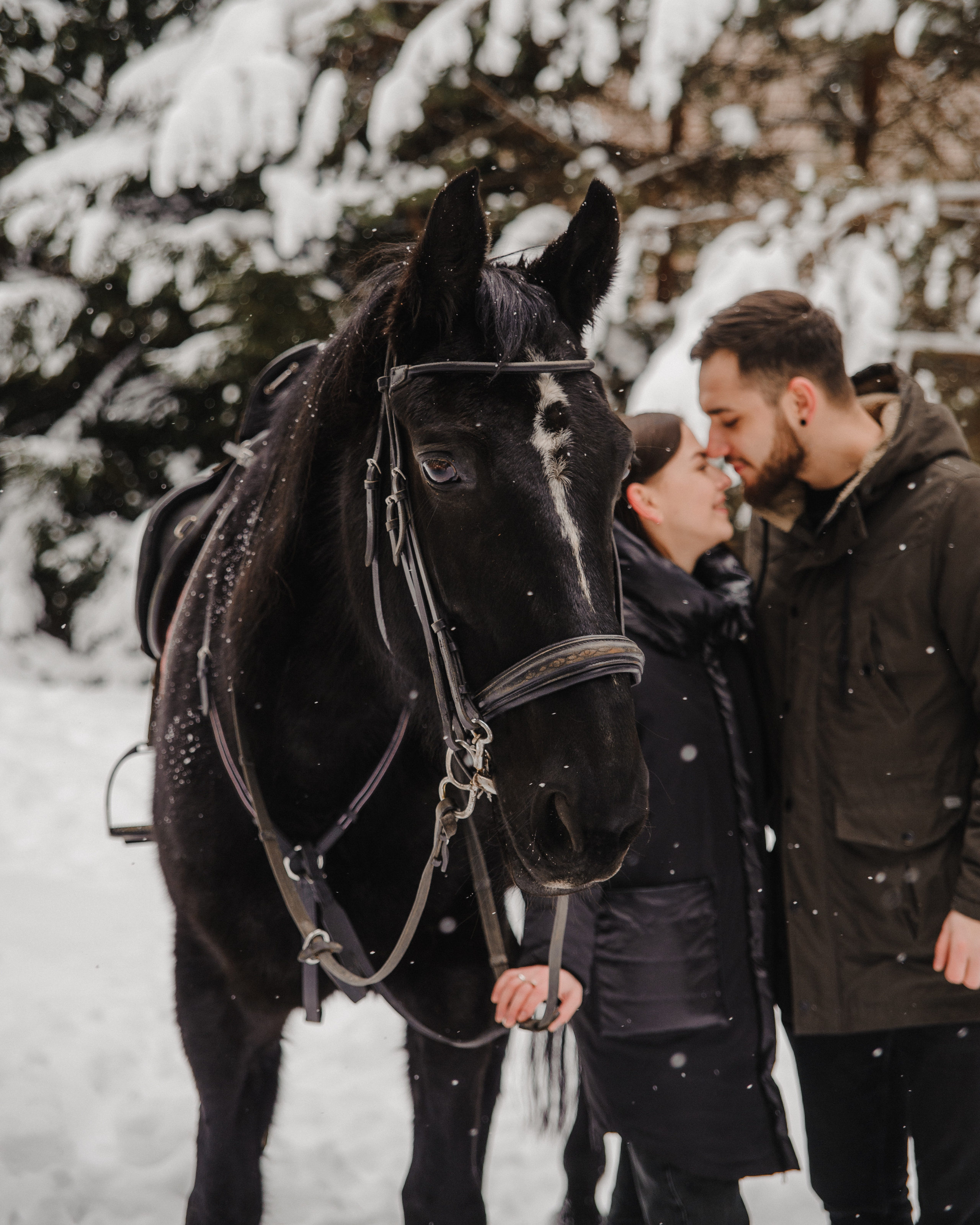 Артем и Настя «Предложение». Свадебный и семейный фотограф в городе Смоленске