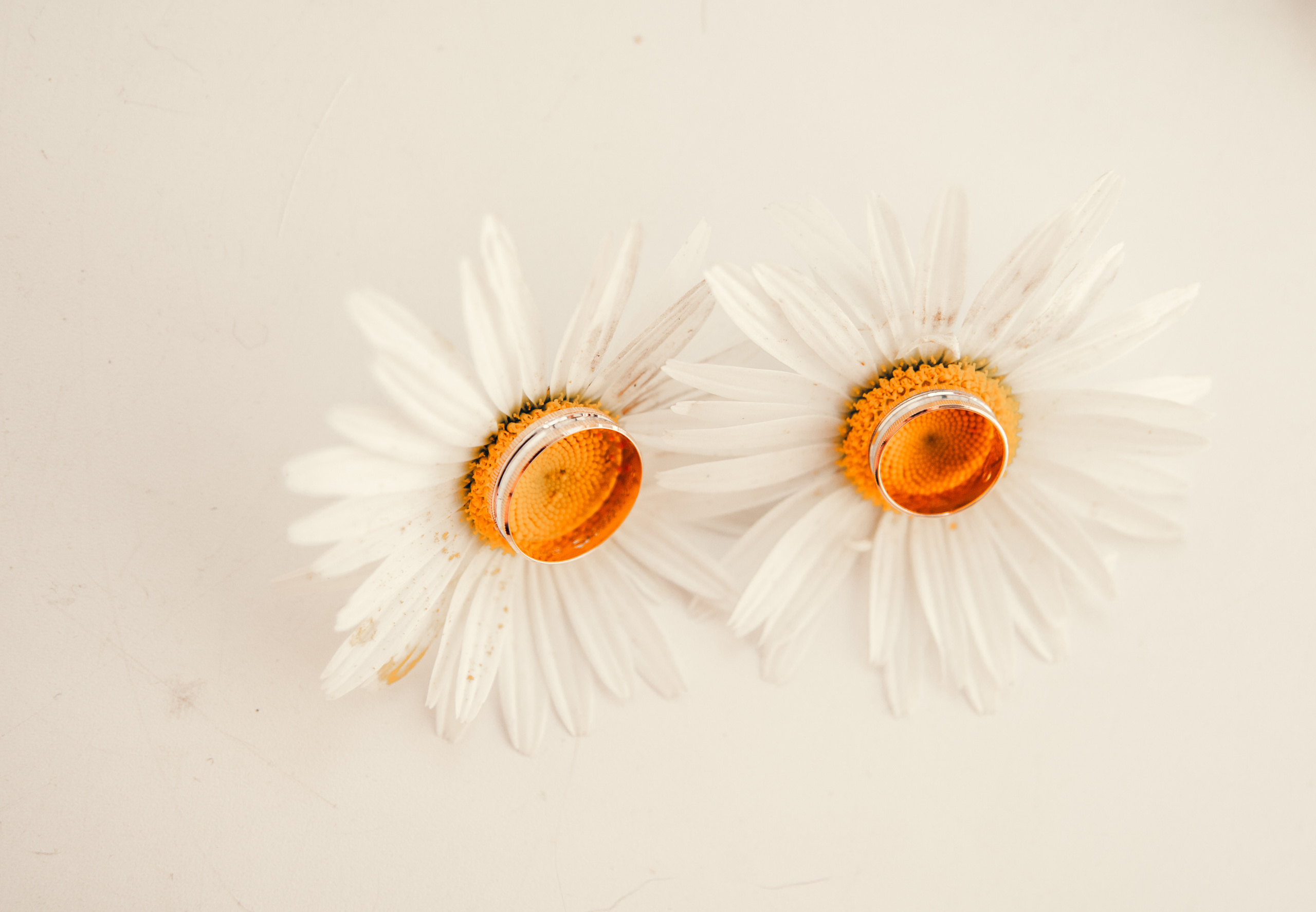 Никита Настя 18.07.2020. Свадебный и семейный фотограф в городе Смоленске