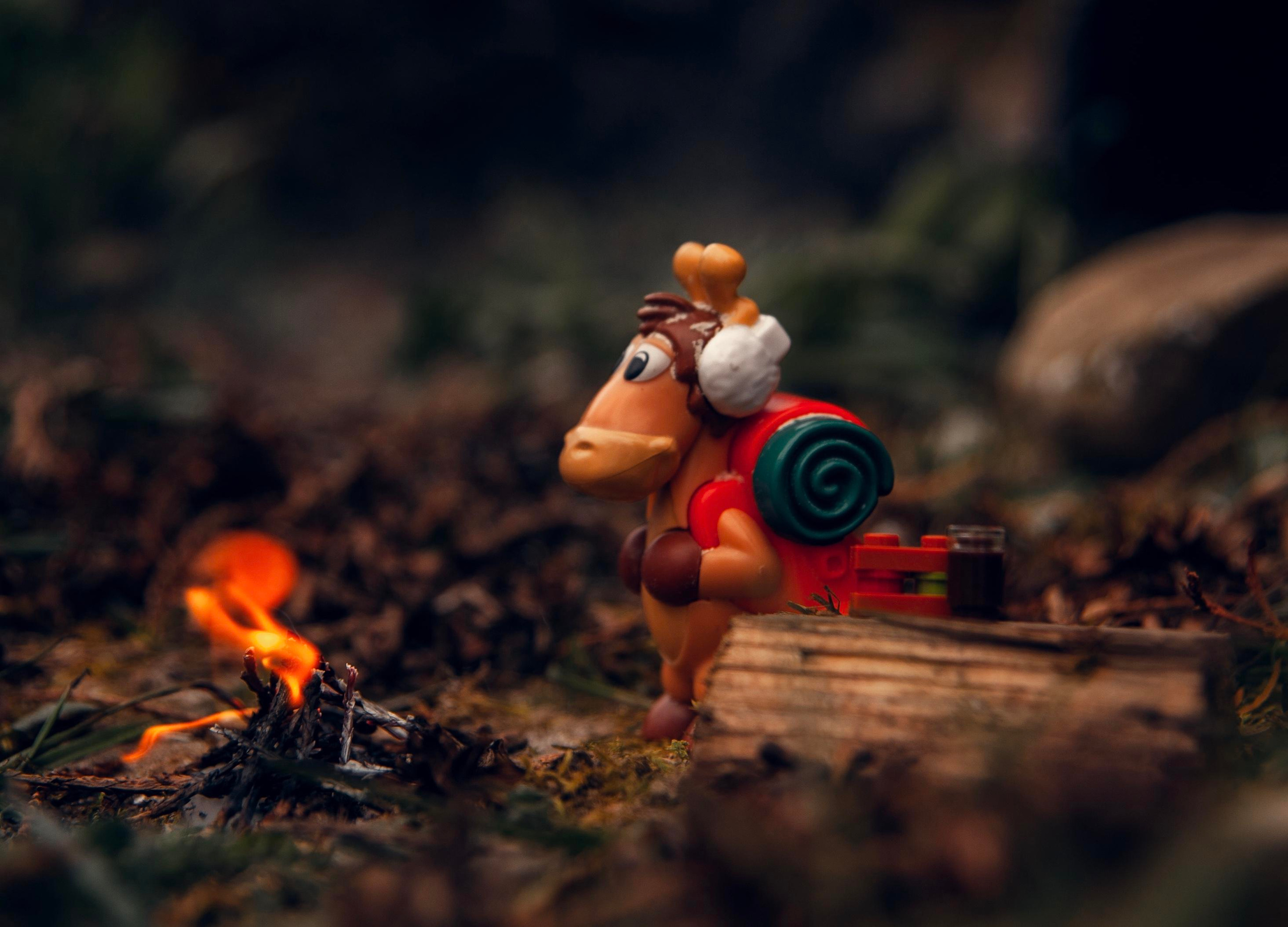 Творчество. Свадебный и семейный фотограф в городе Смоленске