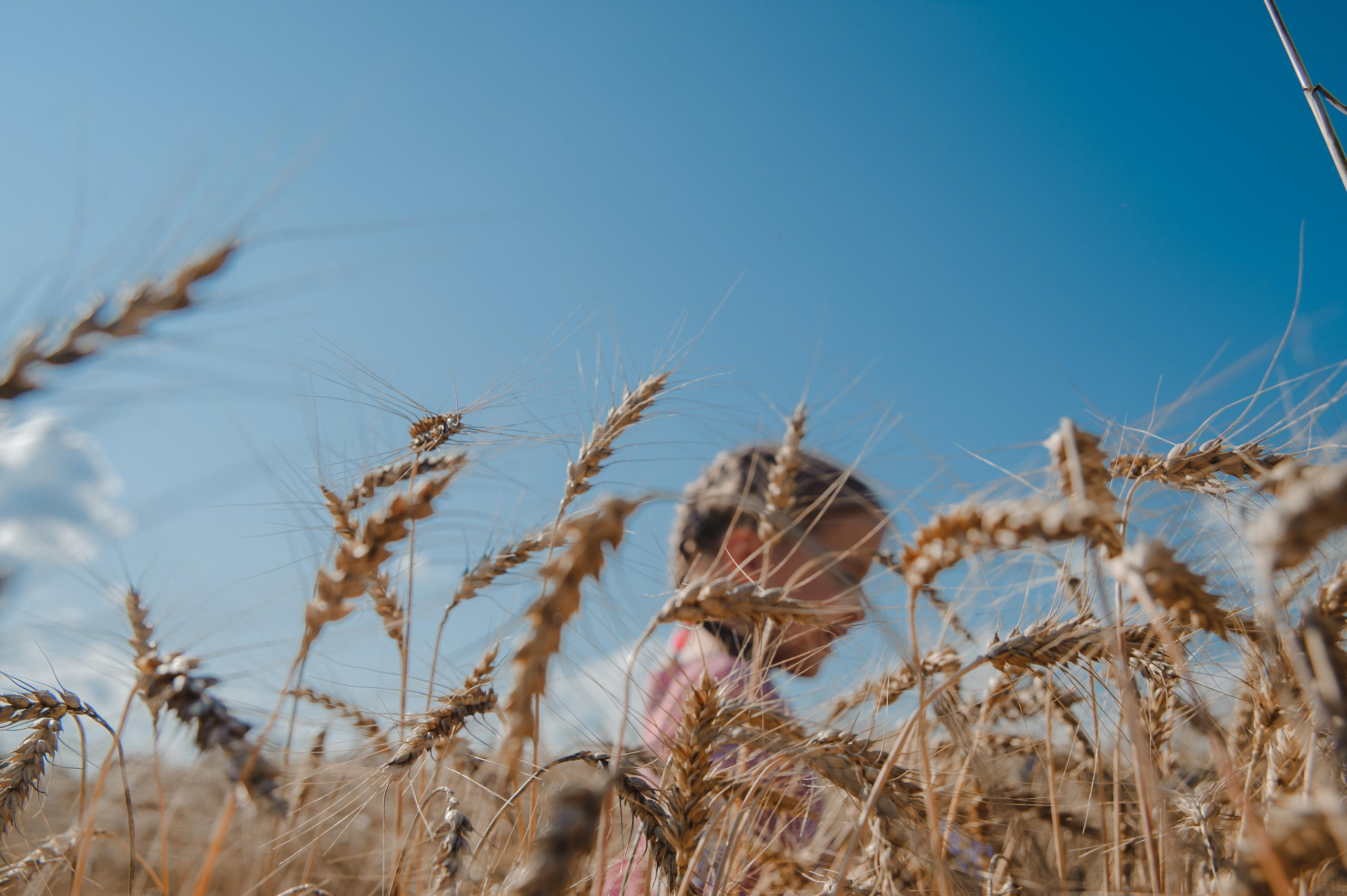 Кир Ира Саша Сеня. Свадебный и семейный фотограф в городе Смоленске