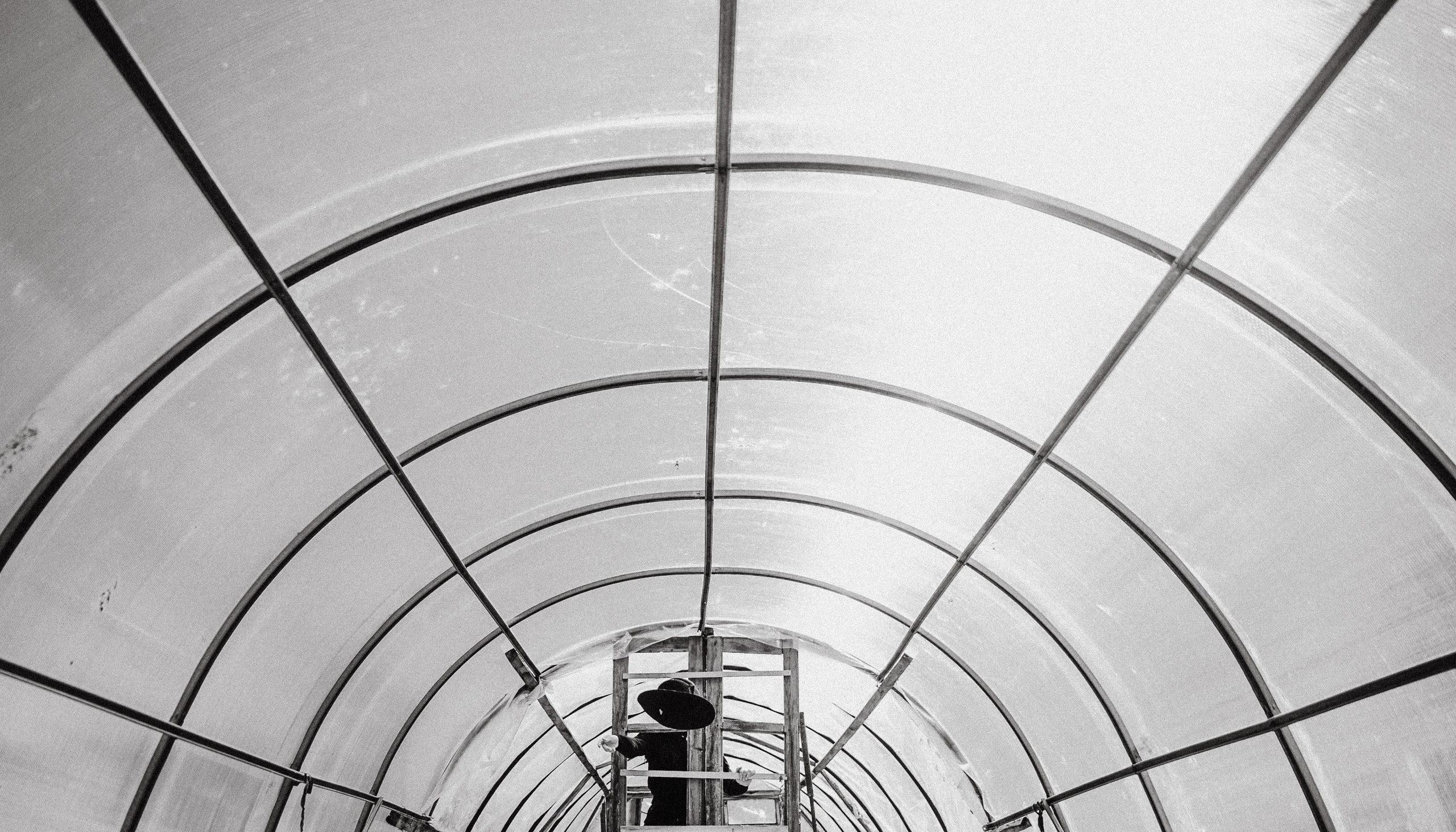 Творчество. Свадебный и семейный фотограф в городе Смоленске