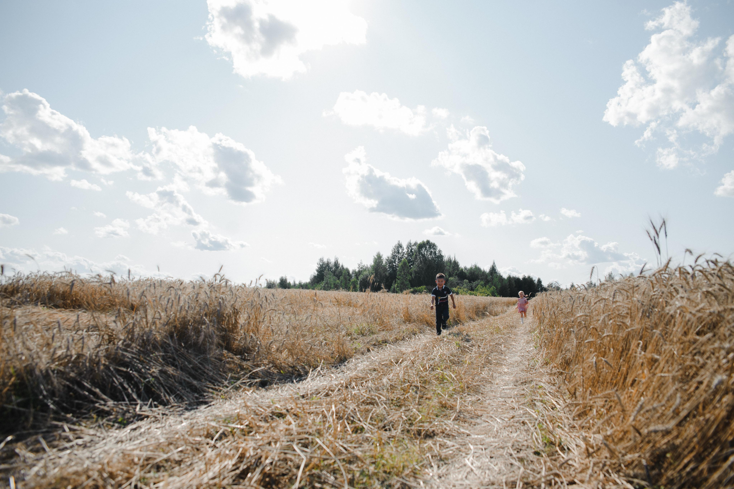 Кир Ира Саша Сеня. Свадебный и семейный фотограф в городе Смоленске