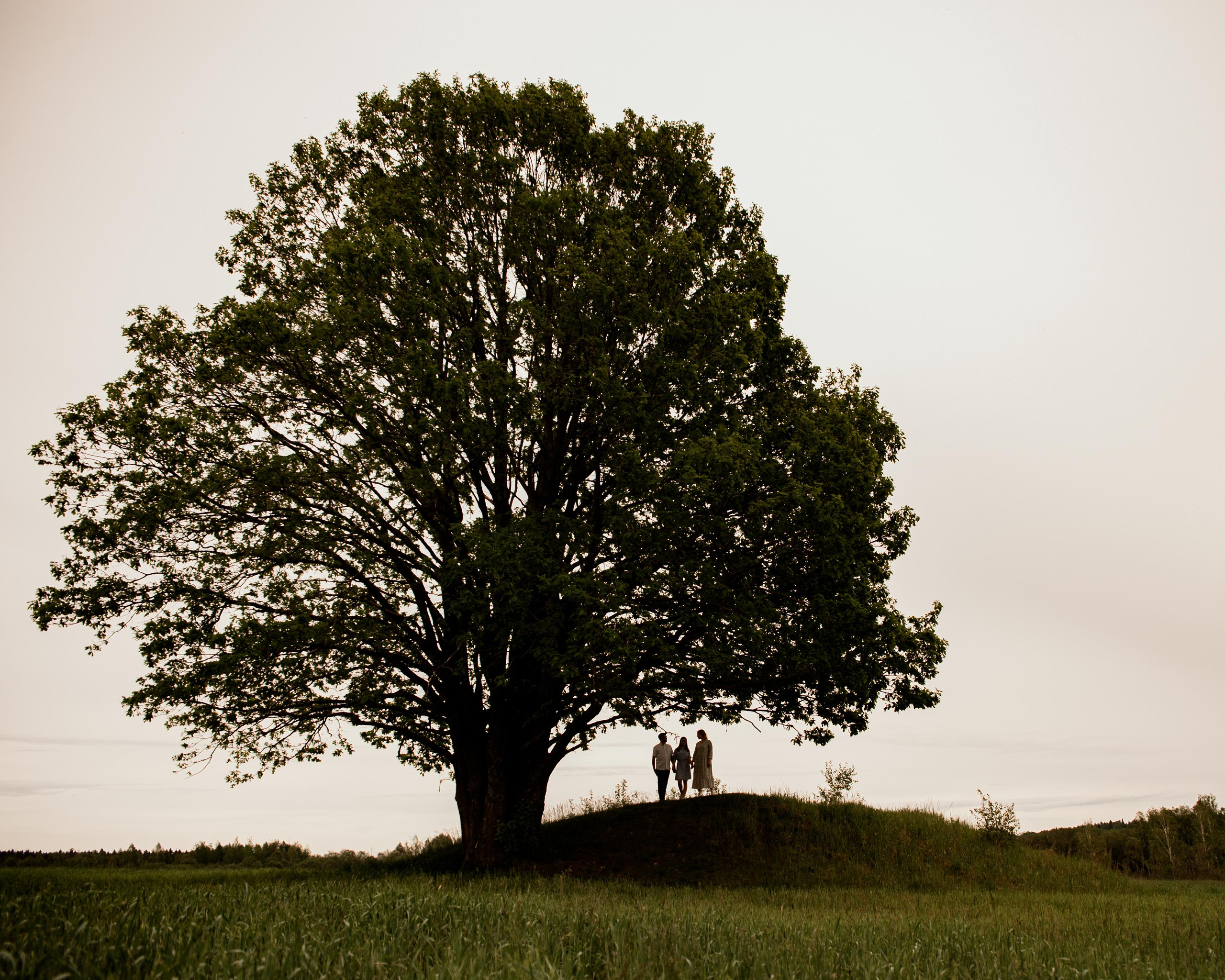 Семья. Свадебный и семейный фотограф в городе Смоленске