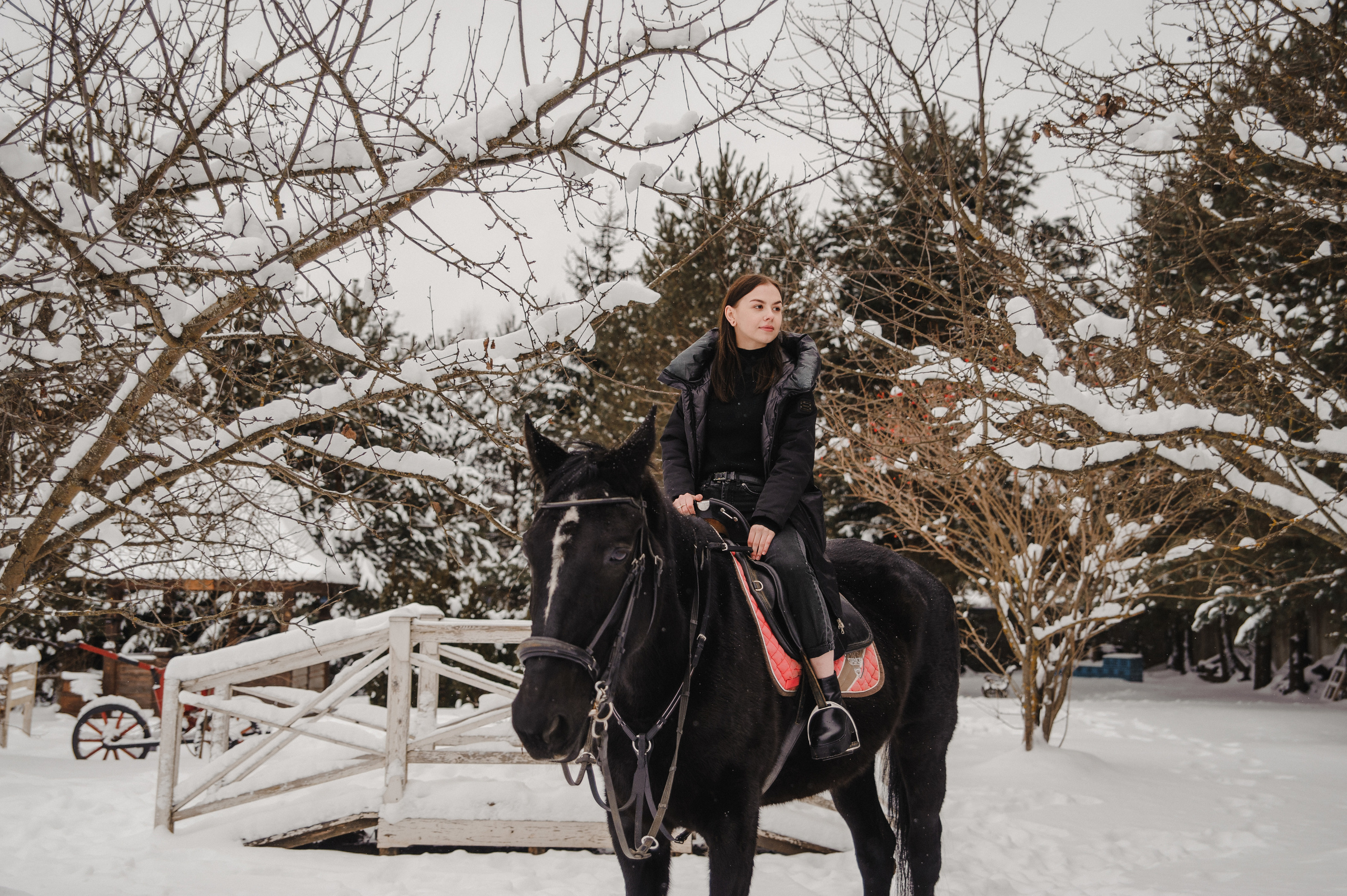 Артем и Настя «Предложение». Свадебный и семейный фотограф в городе Смоленске