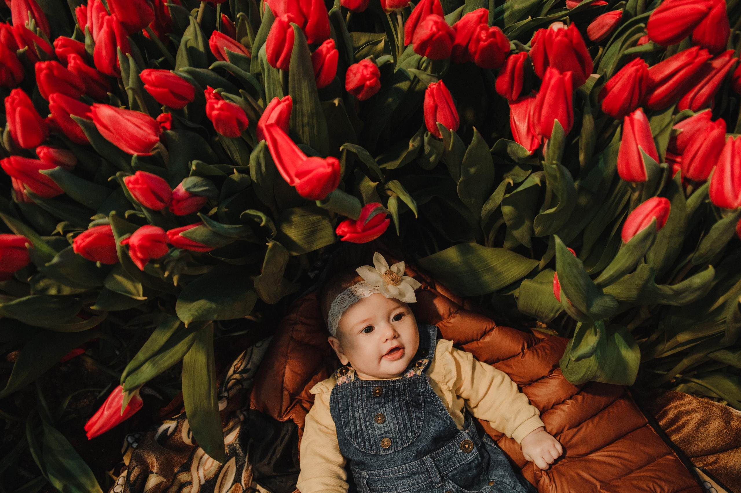 Фотосессия в тюльпанах. Свадебный и семейный фотограф в городе Смоленске