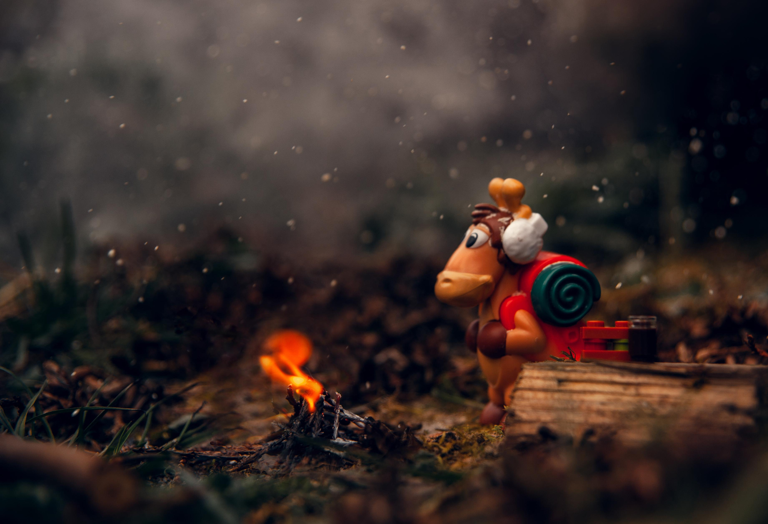 Творчество. Свадебный и семейный фотограф в городе Смоленске