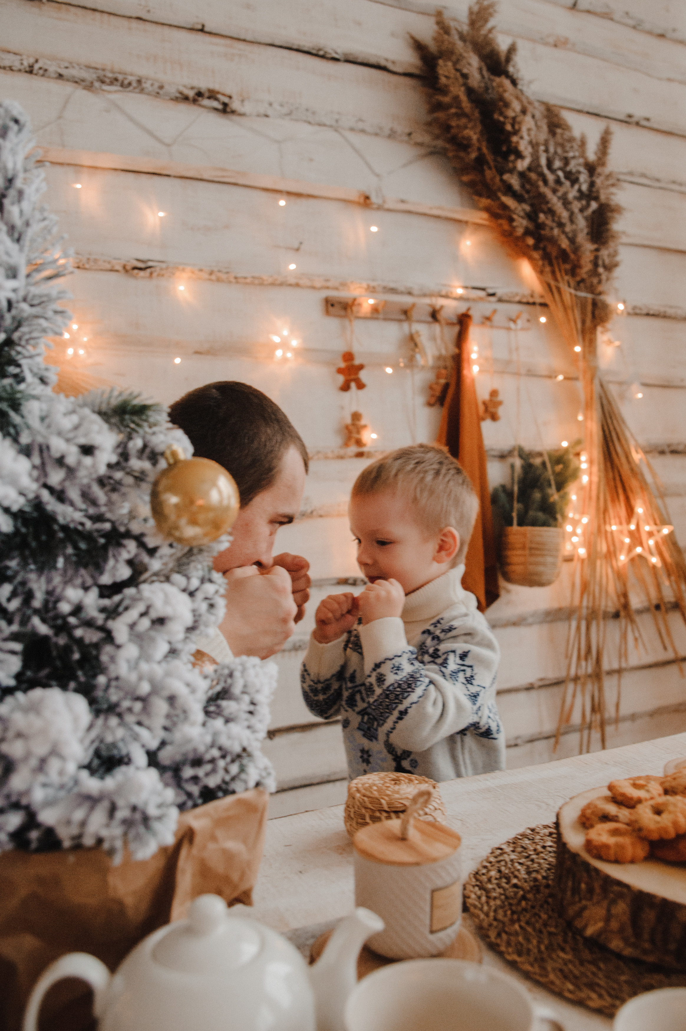 Паша Аня Арсений (новогодняя). Свадебный и семейный фотограф в городе Смоленске