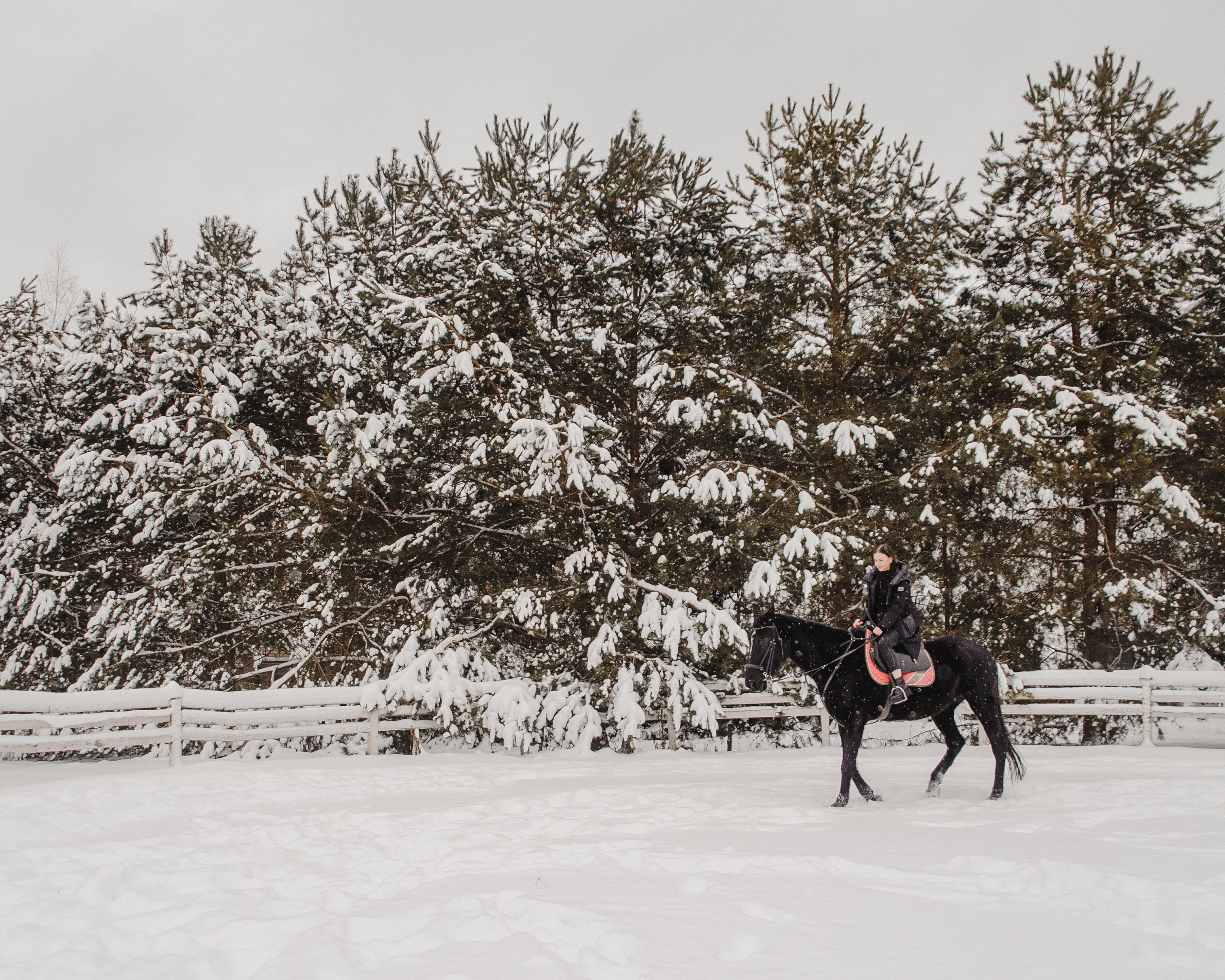 Артем и Настя «Предложение». Свадебный и семейный фотограф в городе Смоленске