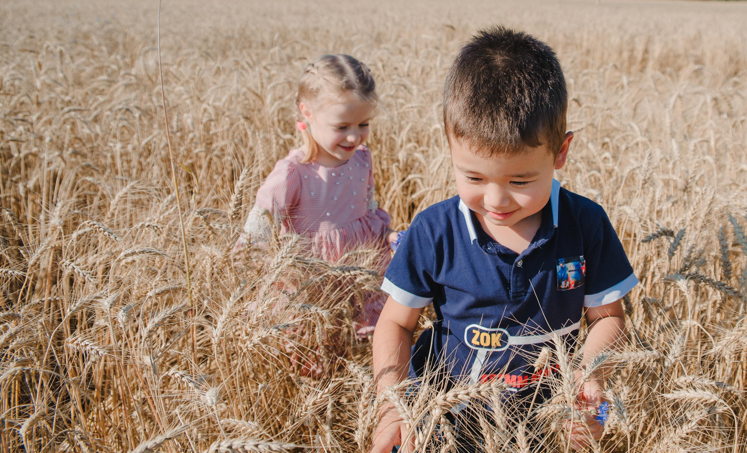 Кир Ира Саша Сеня. Свадебный и семейный фотограф в городе Смоленске