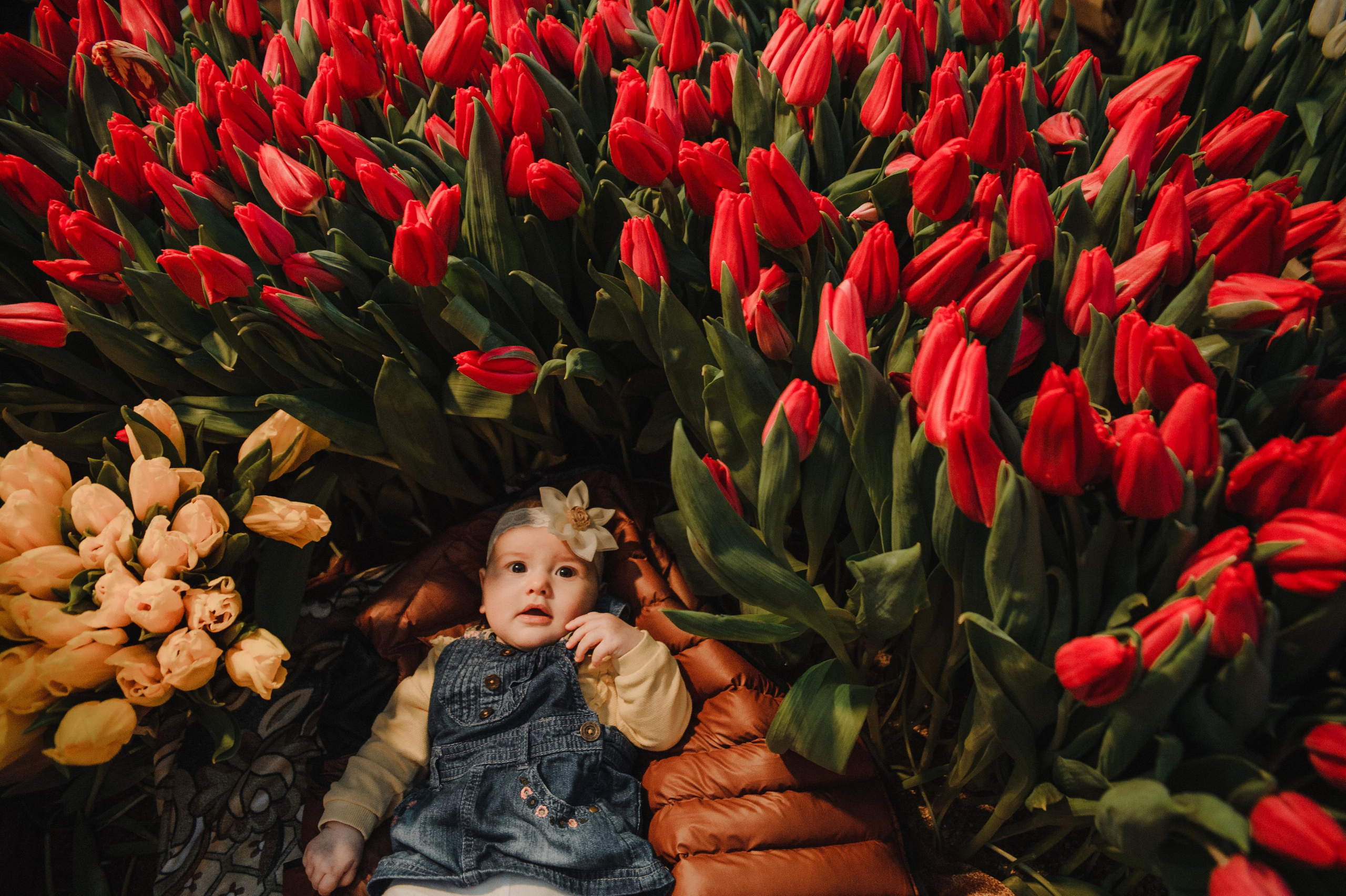 Фотосессия в тюльпанах. Свадебный и семейный фотограф в городе Смоленске