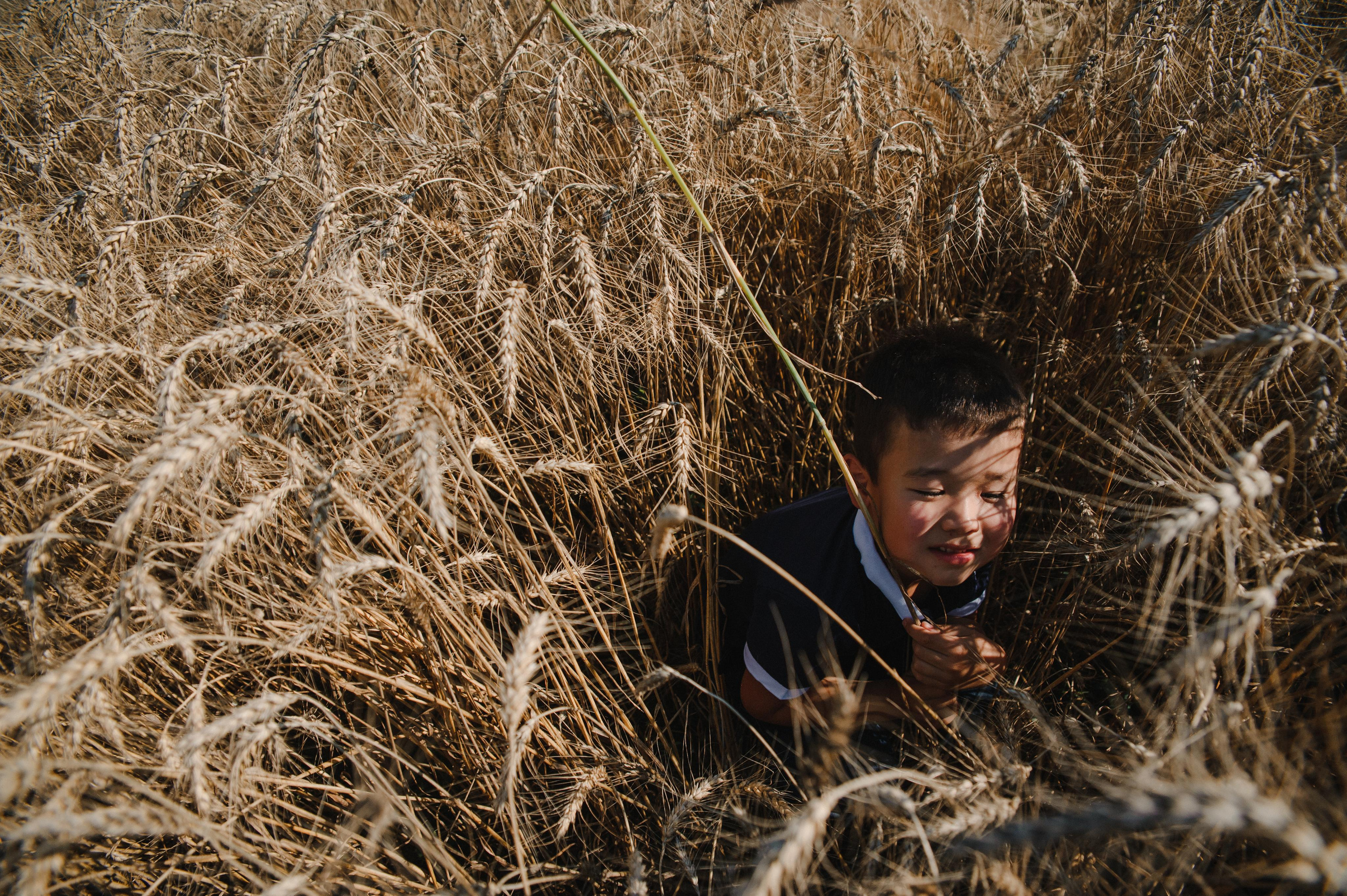 Кир Ира Саша Сеня. Свадебный и семейный фотограф в городе Смоленске