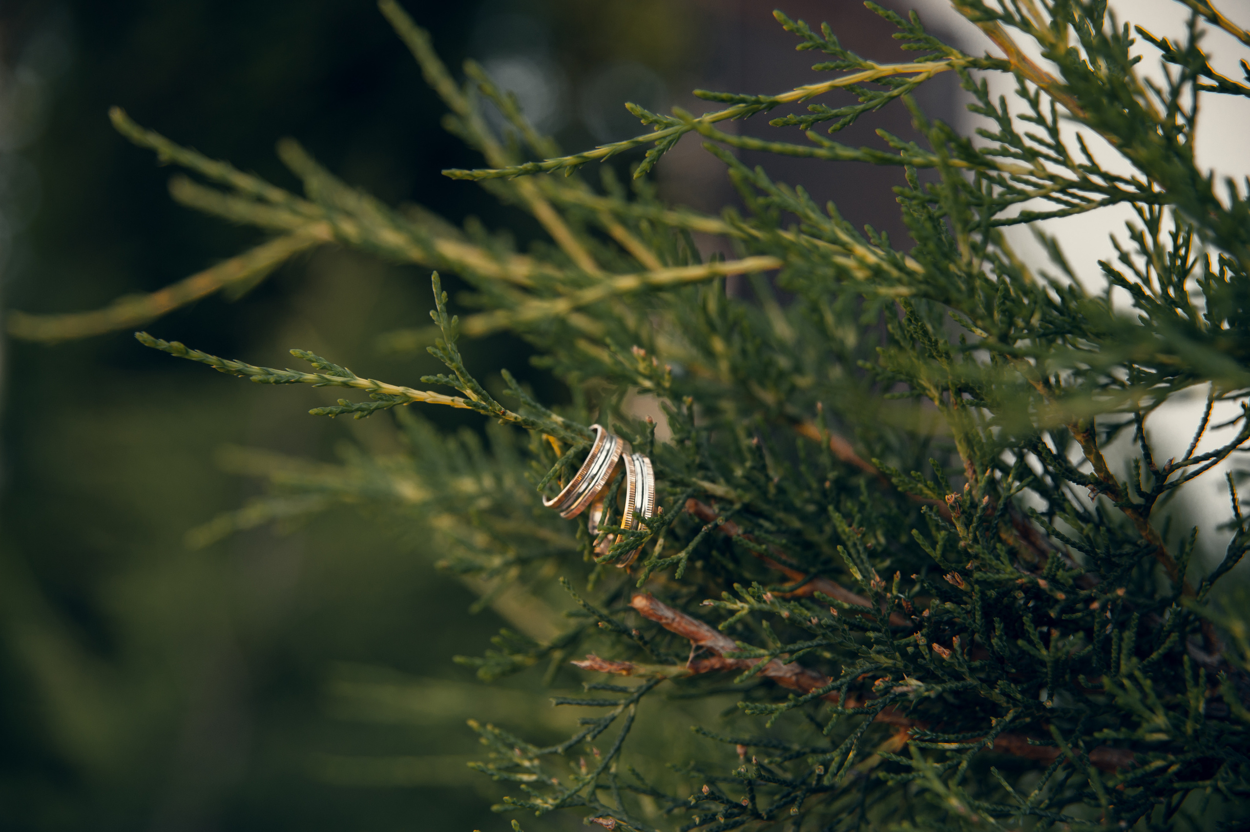Никита Настя 18.07.2020. Свадебный и семейный фотограф в городе Смоленске