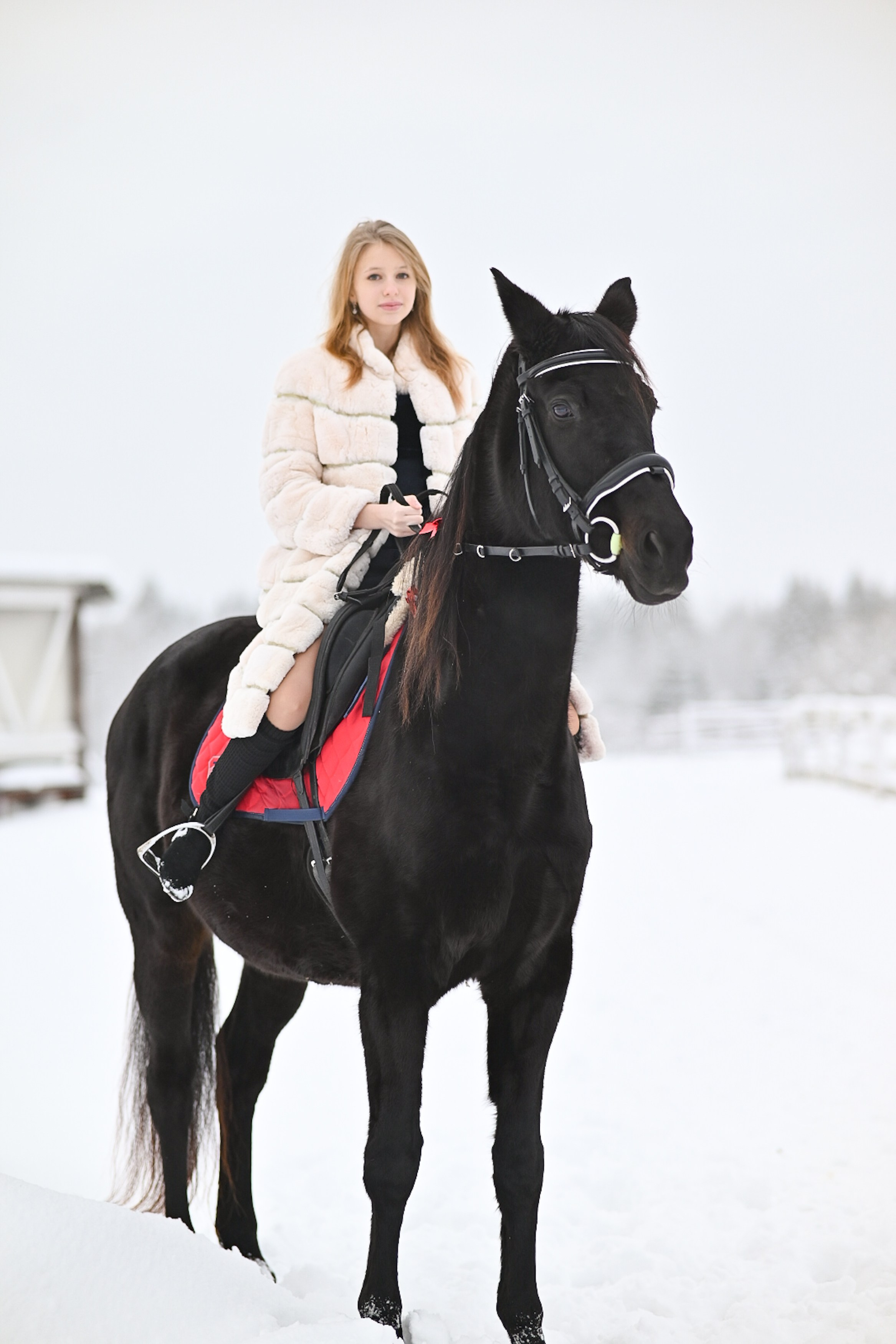 King. LifeStyle фотограф Анна Воробьёва Санкт-Петербург