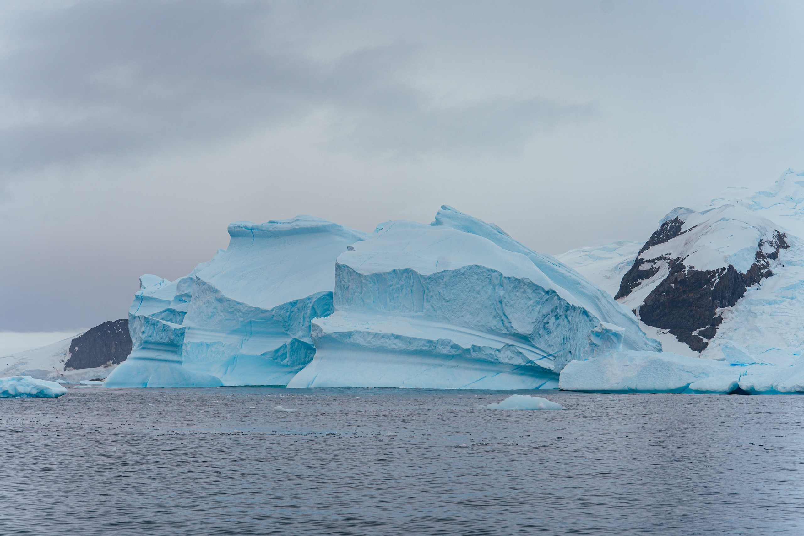 Природа. Медийный светский репортажный фотограф