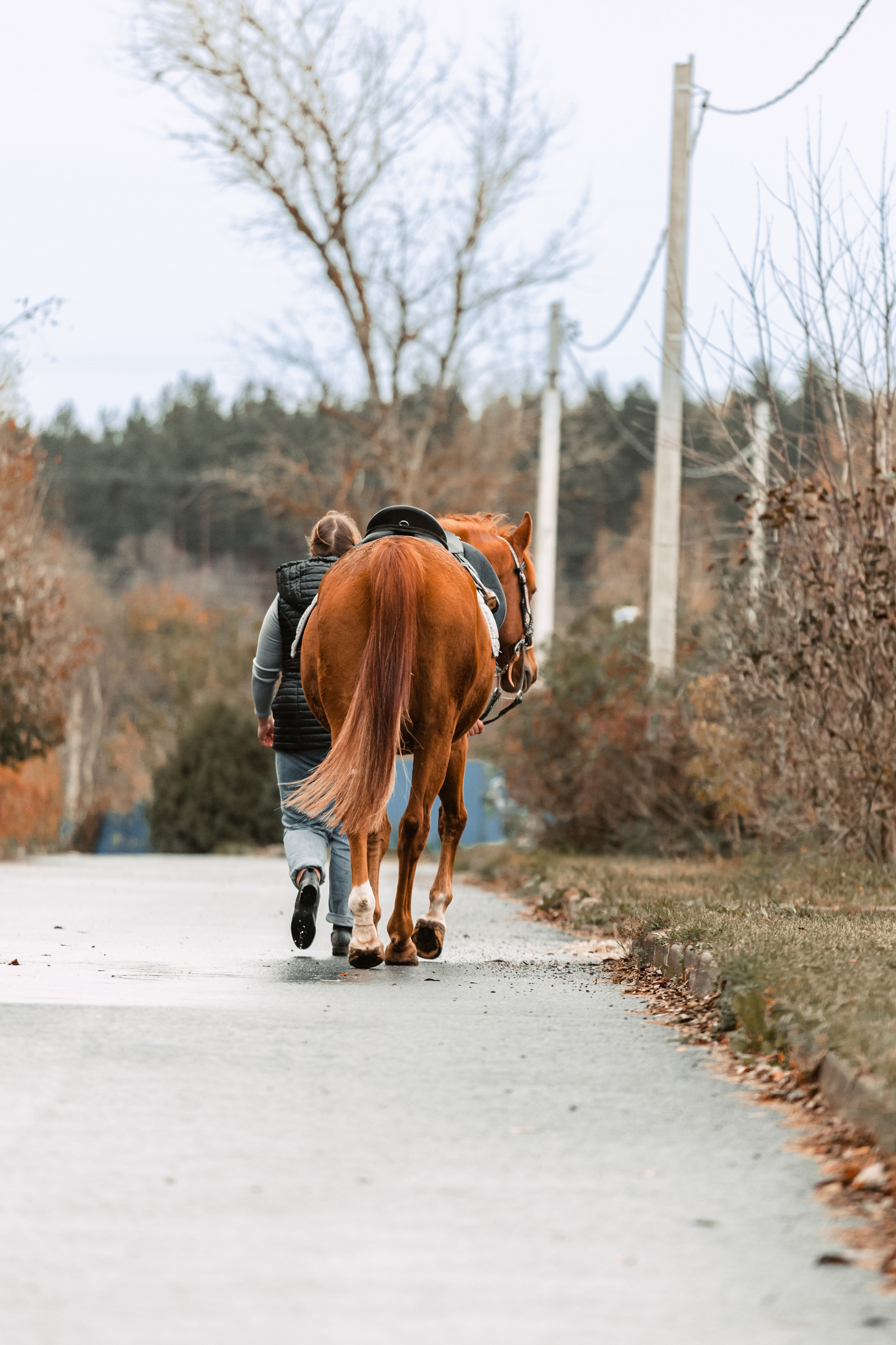 Лена и Рэджи. Фотограф-анималист Татьяна Степанова