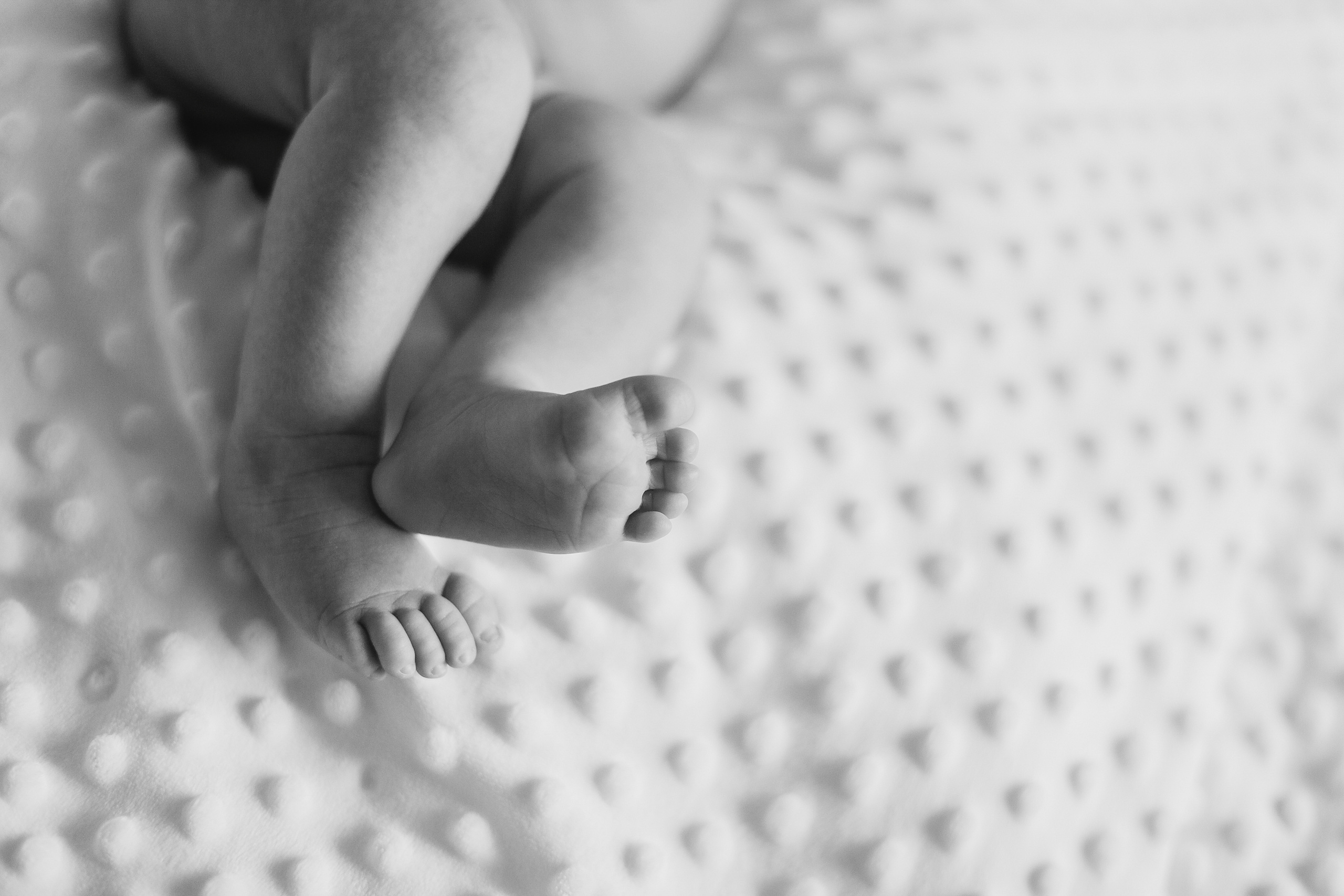 Новорождённый Андрюша (возраст примерно 25 дней). Семейный и детский фотограф