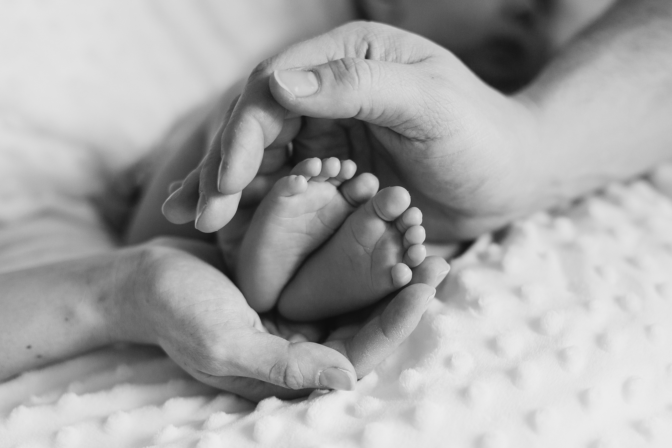 Новорождённый Андрюша (возраст примерно 25 дней). Семейный и детский фотограф