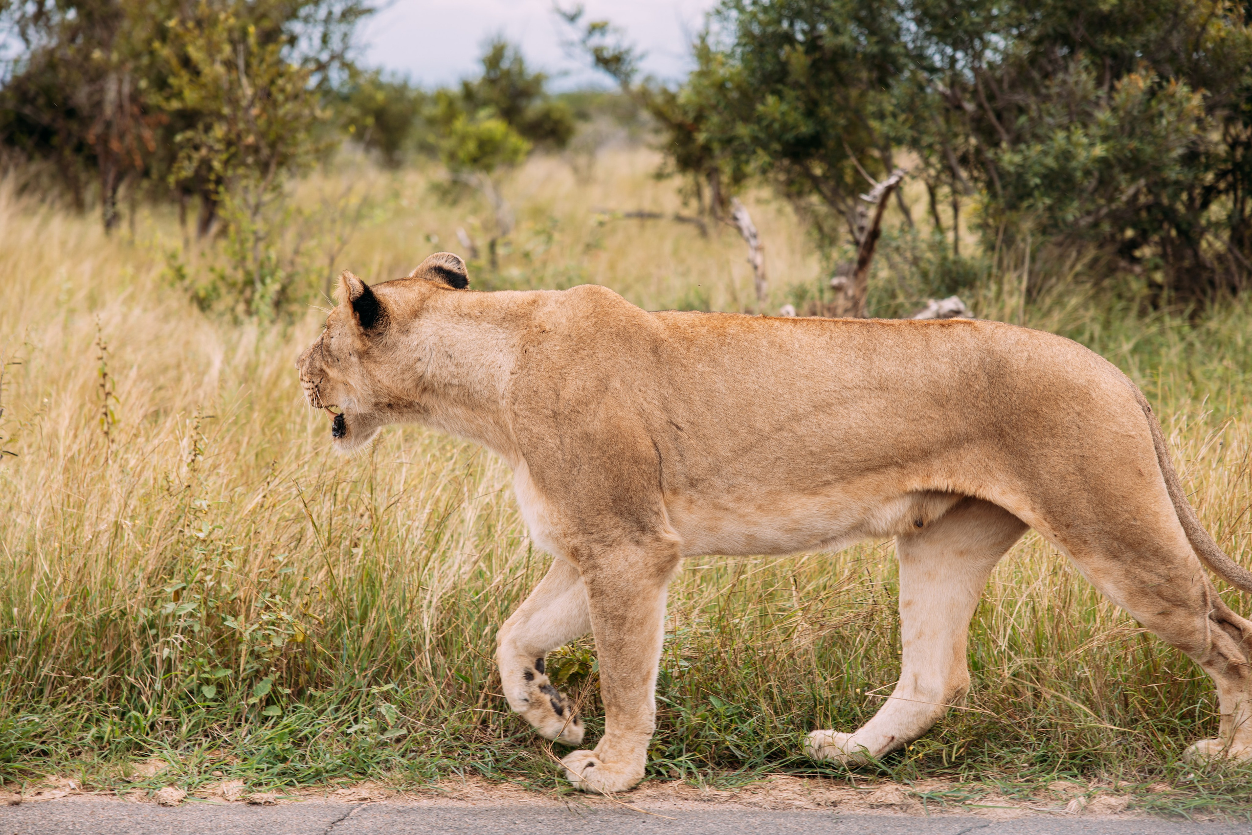 ФОТО ТУРЫ ПО МИРУ. Фотограф Марина Аблаева-Кожедуб