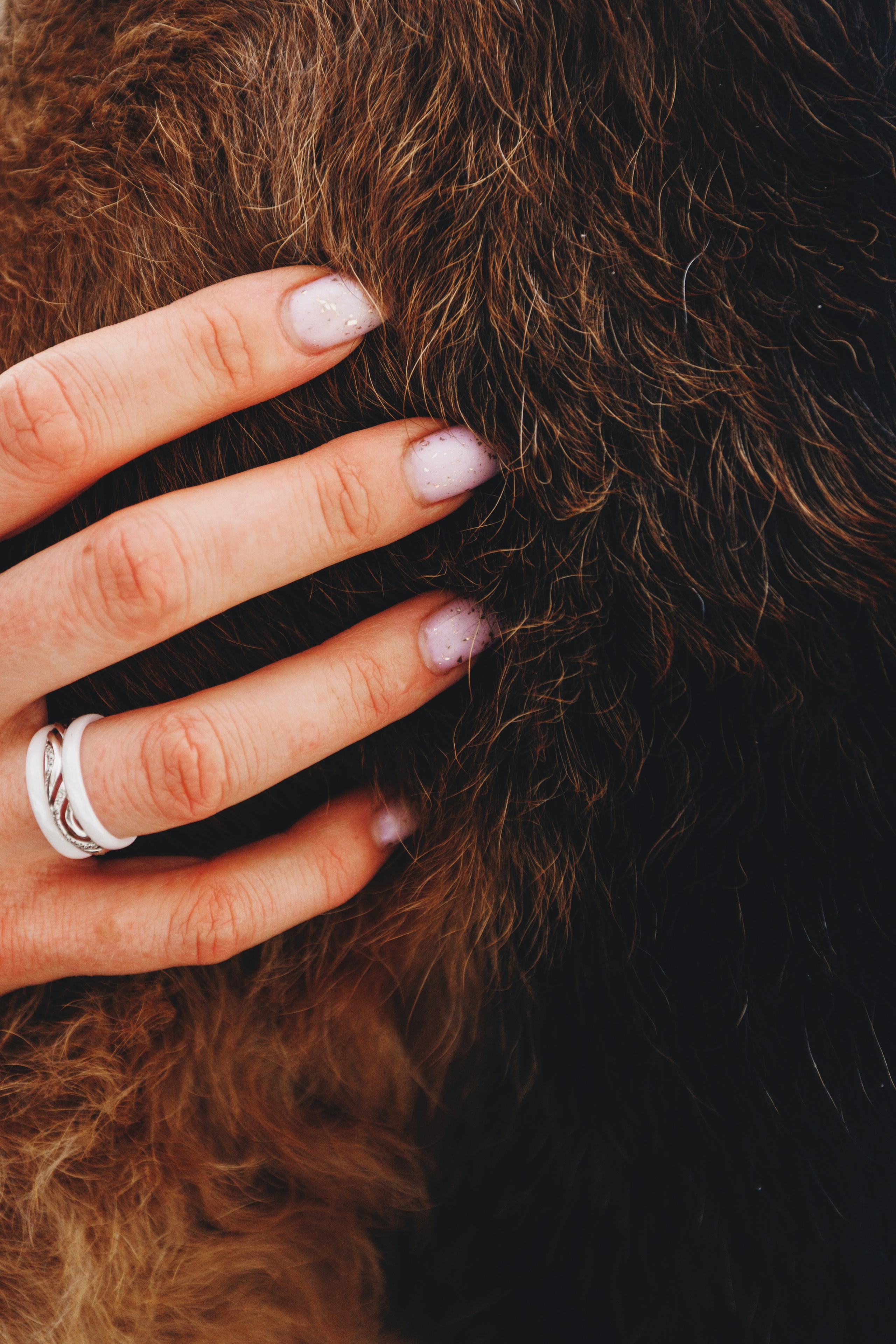 Оля и Хард. Фотограф анималист Осипчикова Мария