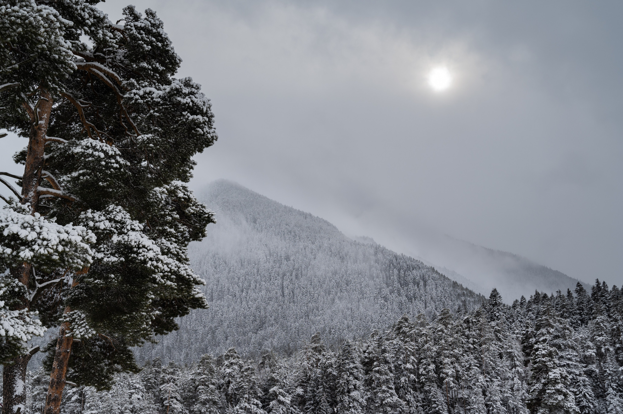 Пейзажи и архитектура. Портретный фотограф в Москве Евгений Кемайкин