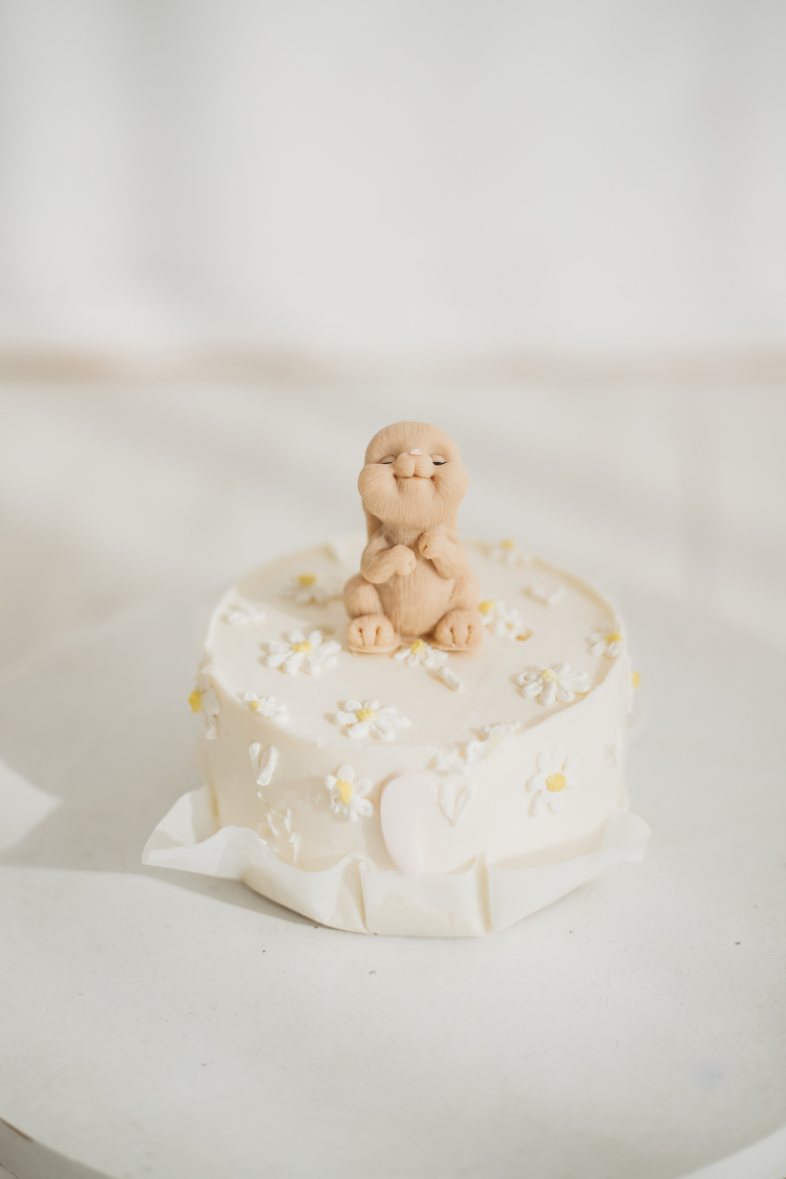 Happy Bday. Семейный и детский фотограф Минск, Беларусь