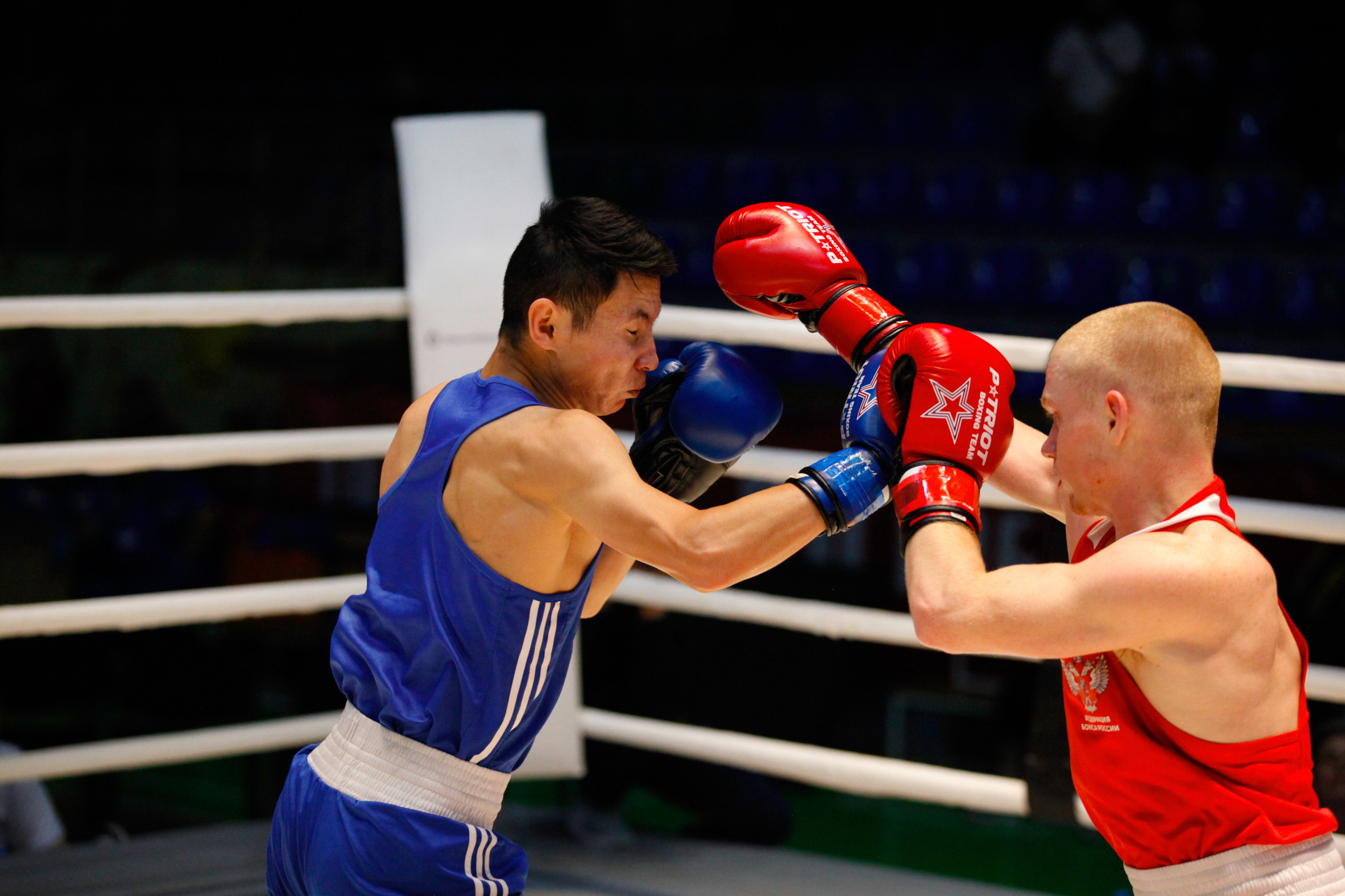 БОКС. Фото. Спортивный фотограф, трансляция, звук и свет в Новосибирске