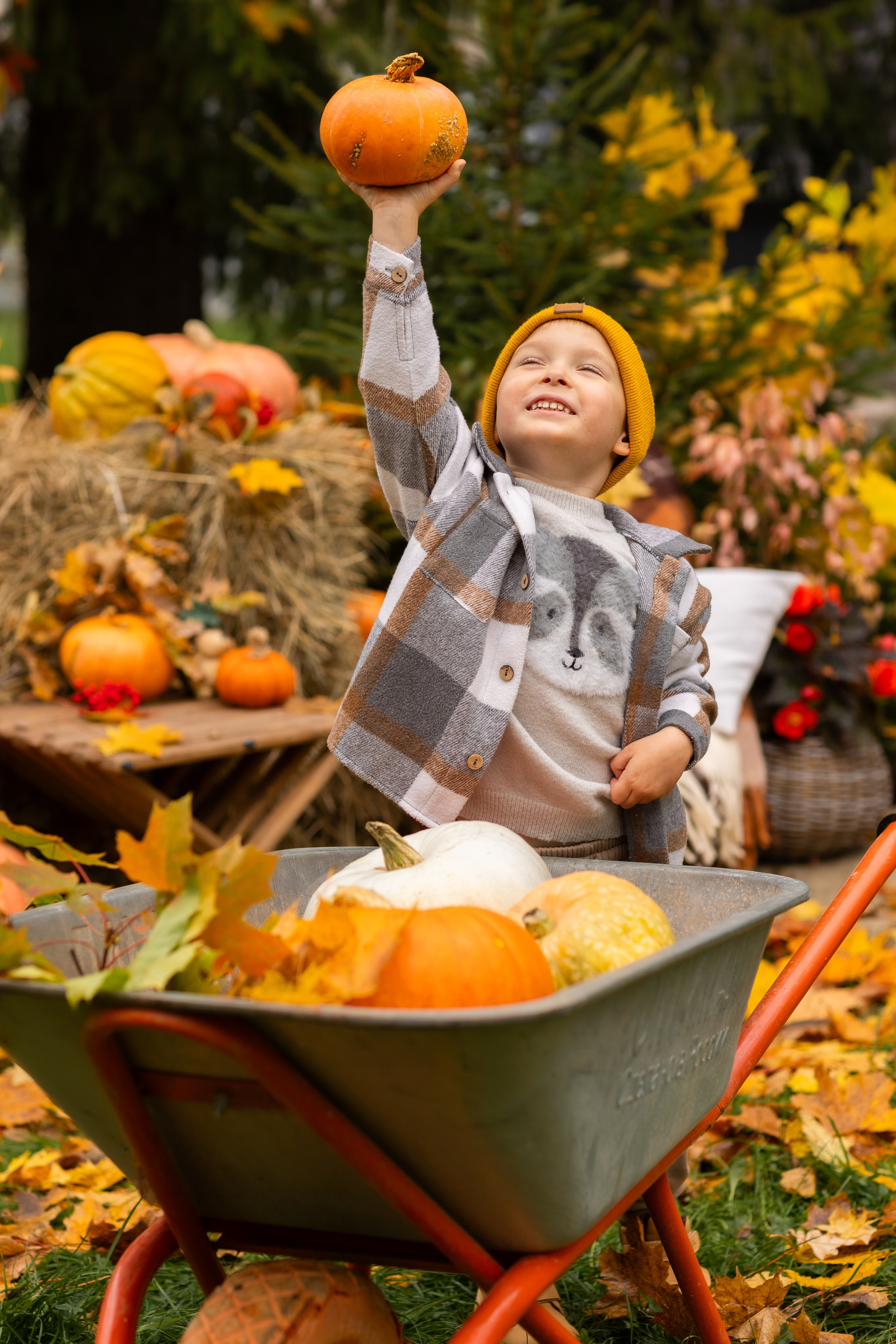 Осень. Профессиональный ретушер Москва и весь мир — Елена Тимченко