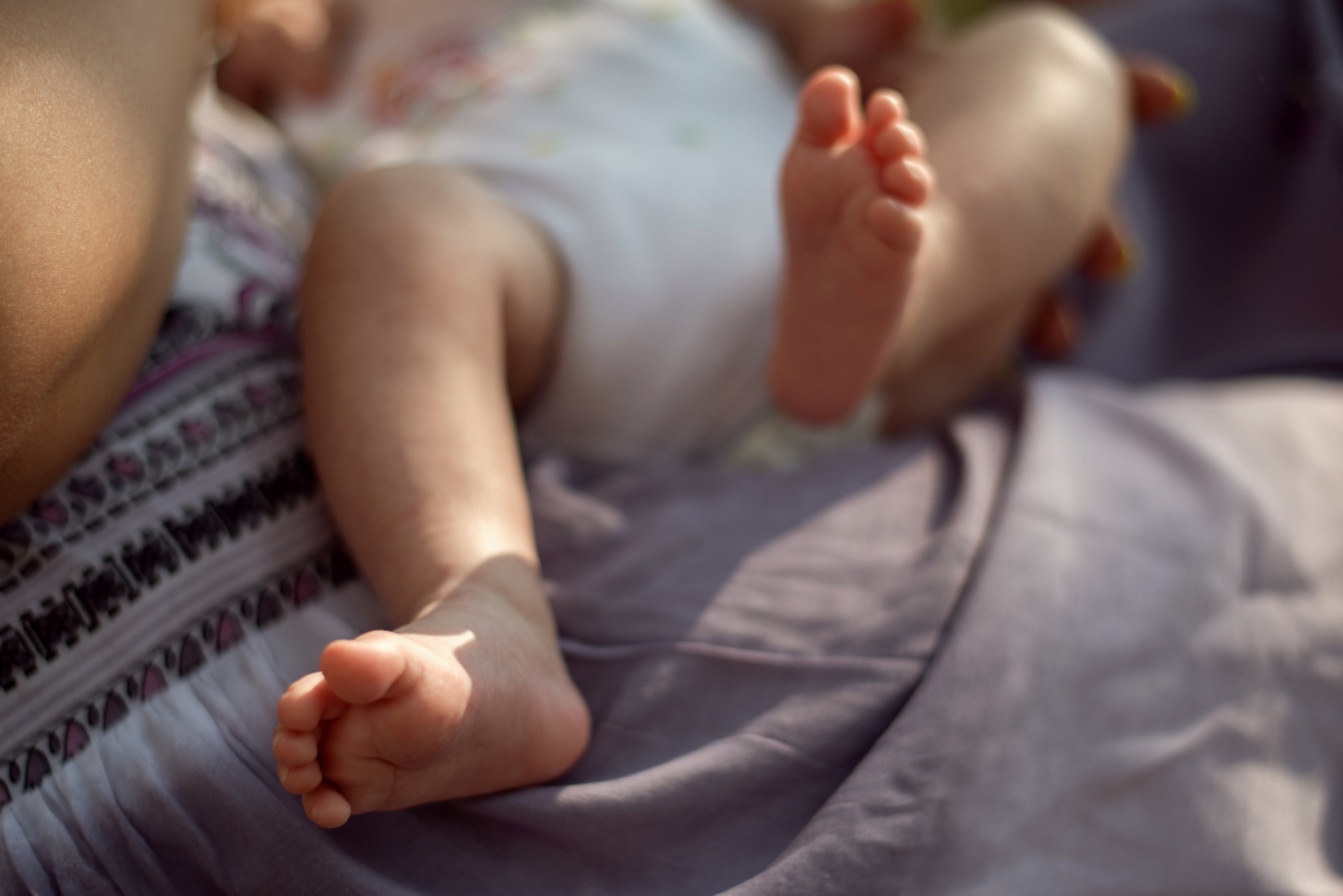 Фотосессия в соснвом бору. Семейный фотограф Екатерина Шаманаева