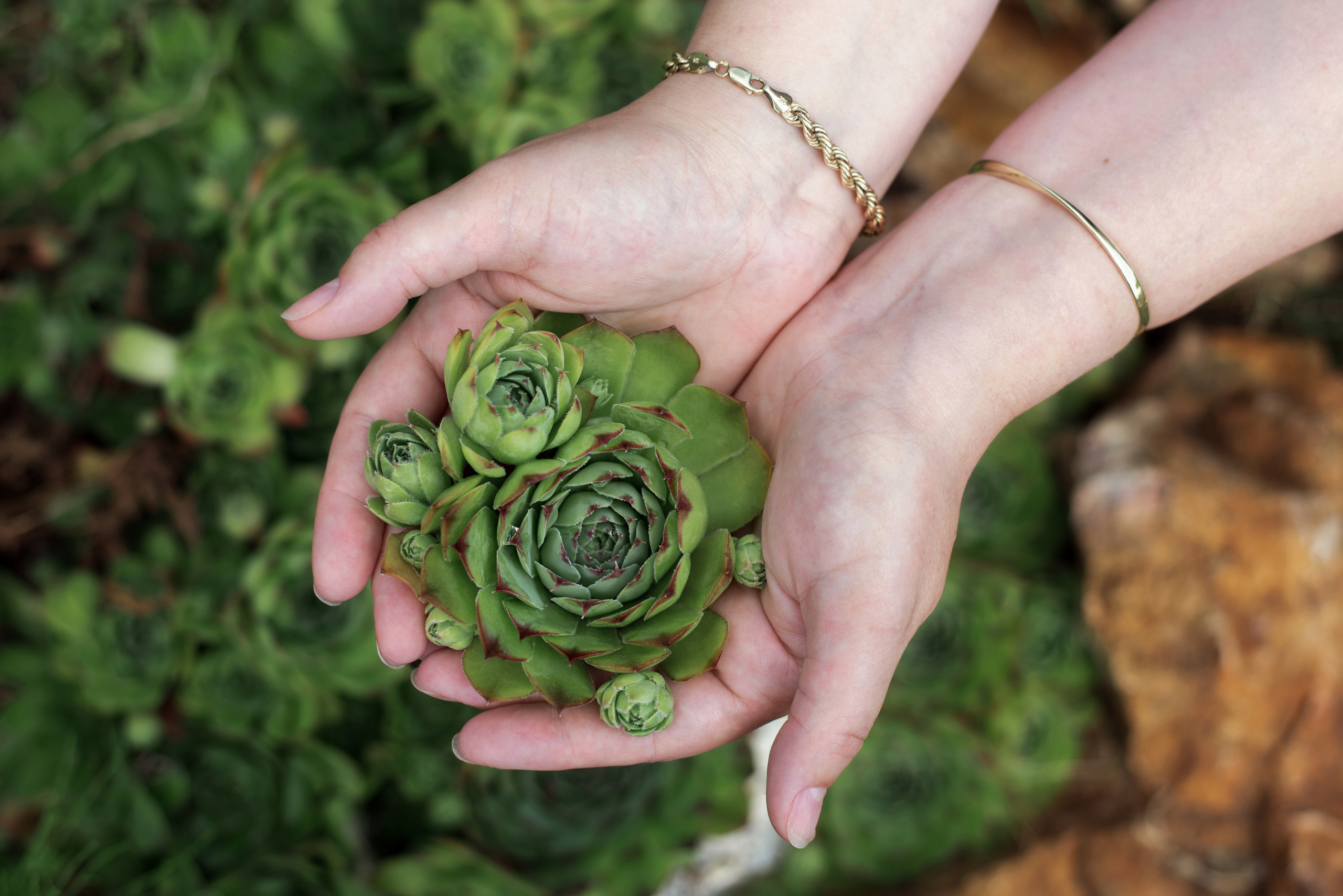 Фотосессия Евгении. Семейный фотограф Екатерина Шаманаева