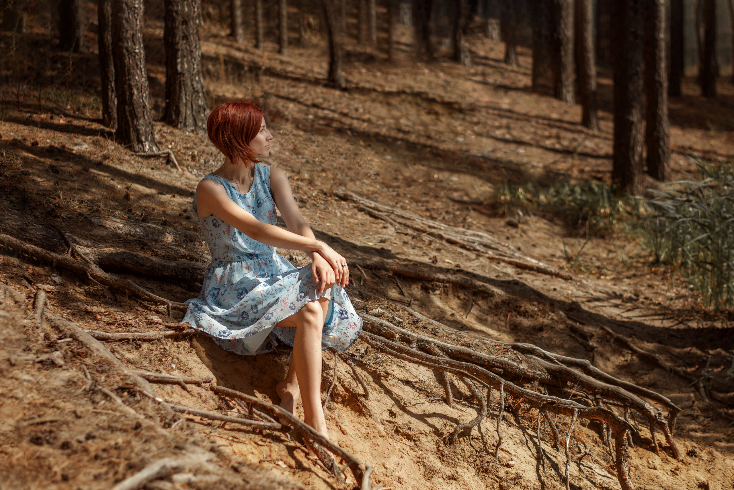 Фотосессия в соснвом бору. Семейный фотограф Екатерина Шаманаева