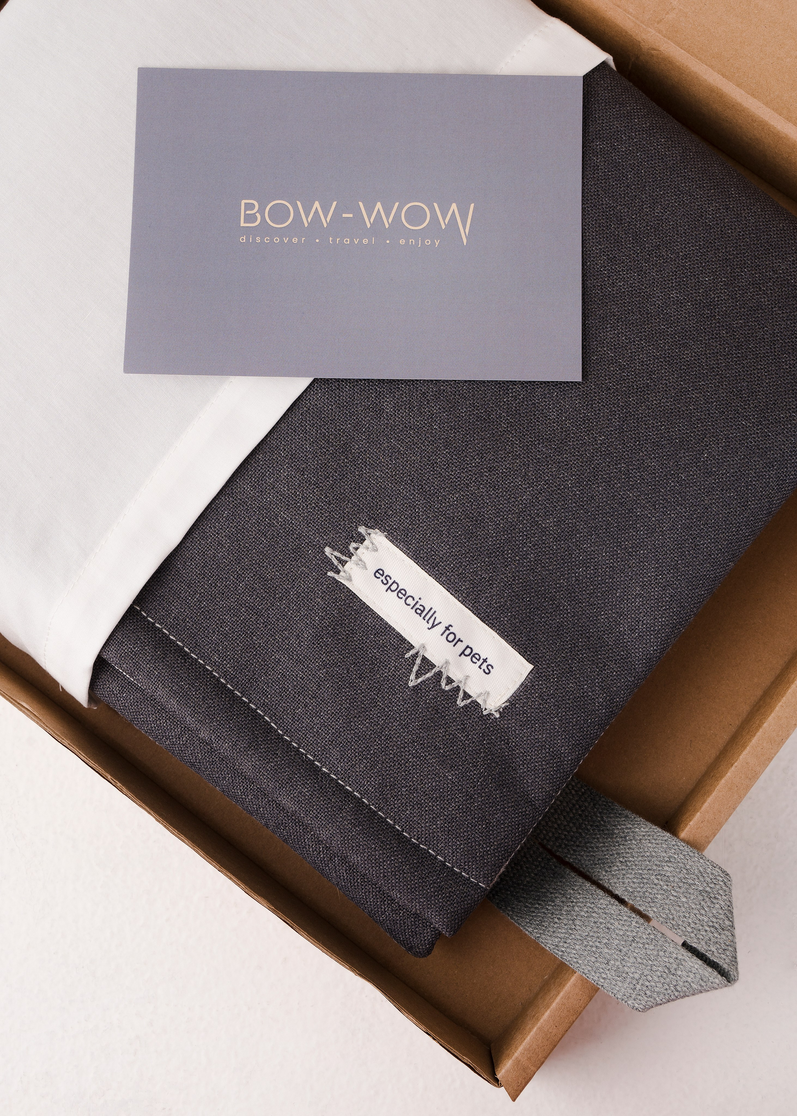 Bow-Wow. Фотограф- анималист Александра Матвеева