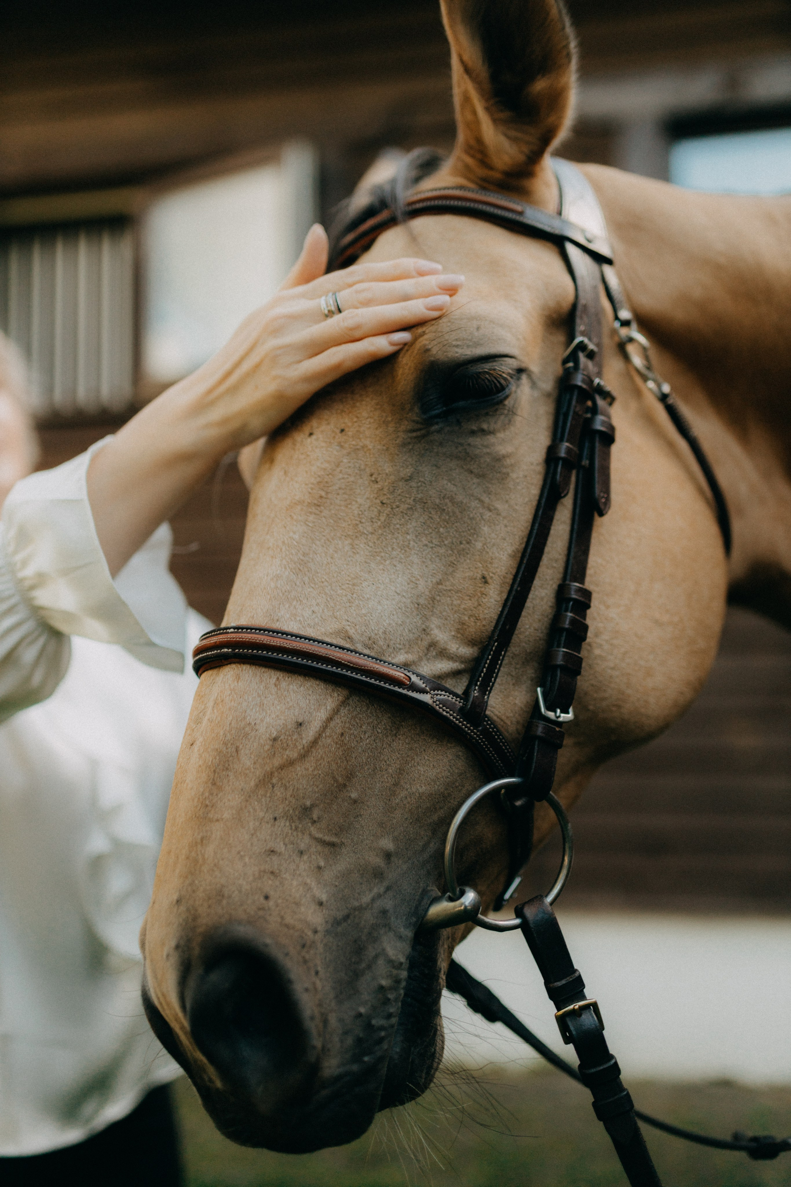 Светлана. Фотограф НОГИНСК, Москва, Анастасия Белая