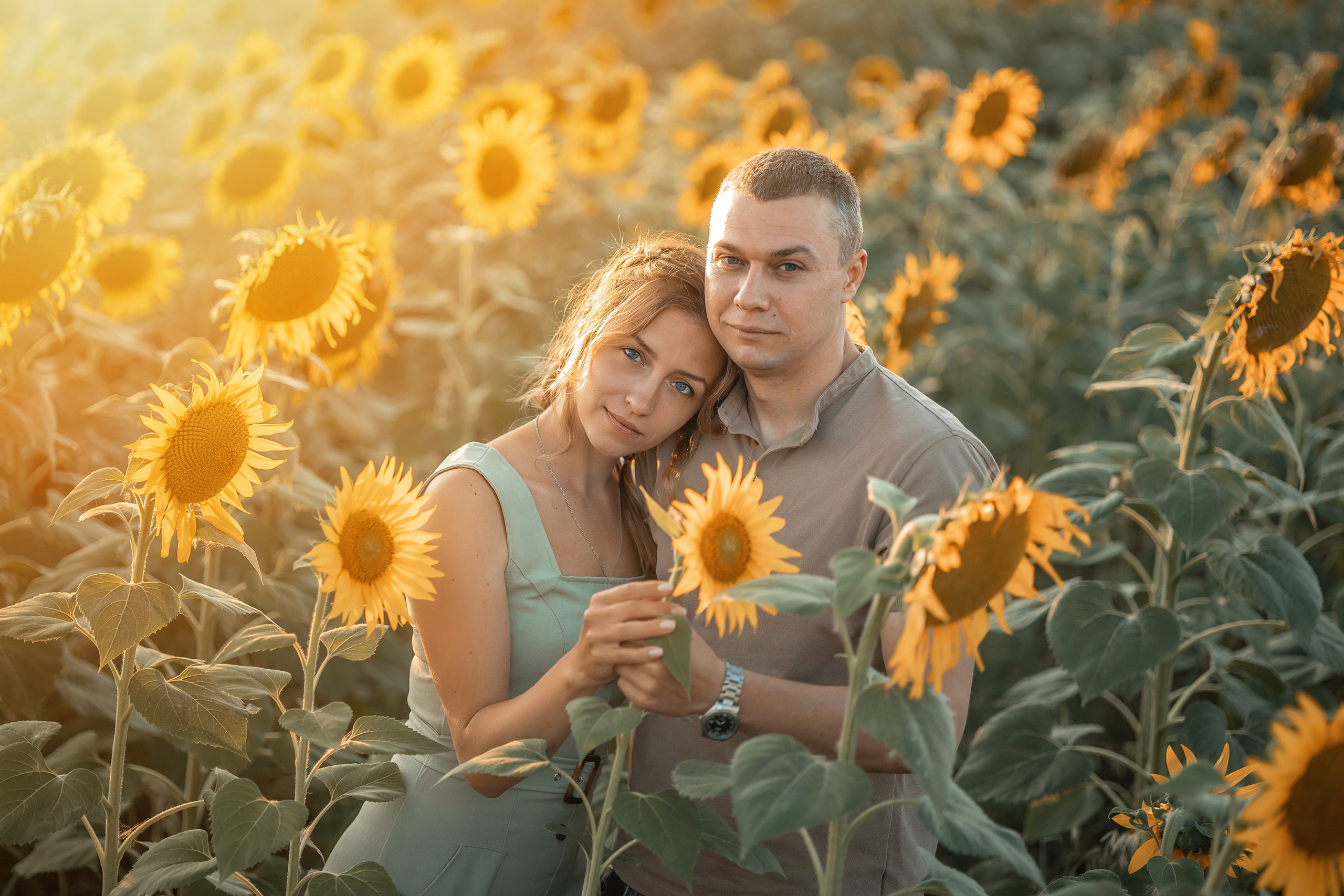 Солнечные подсолнухи. Художественный фотограф Анапа Александра Долбикова