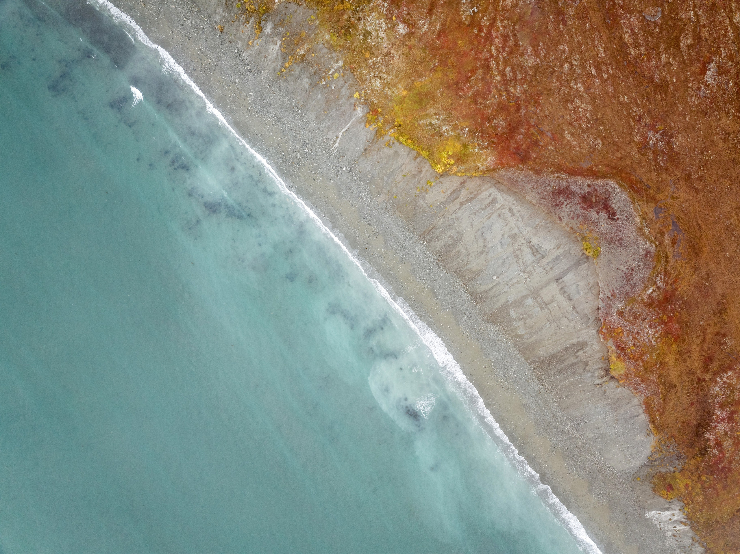 Чукотка. Andrew Gusarov Nature Photography