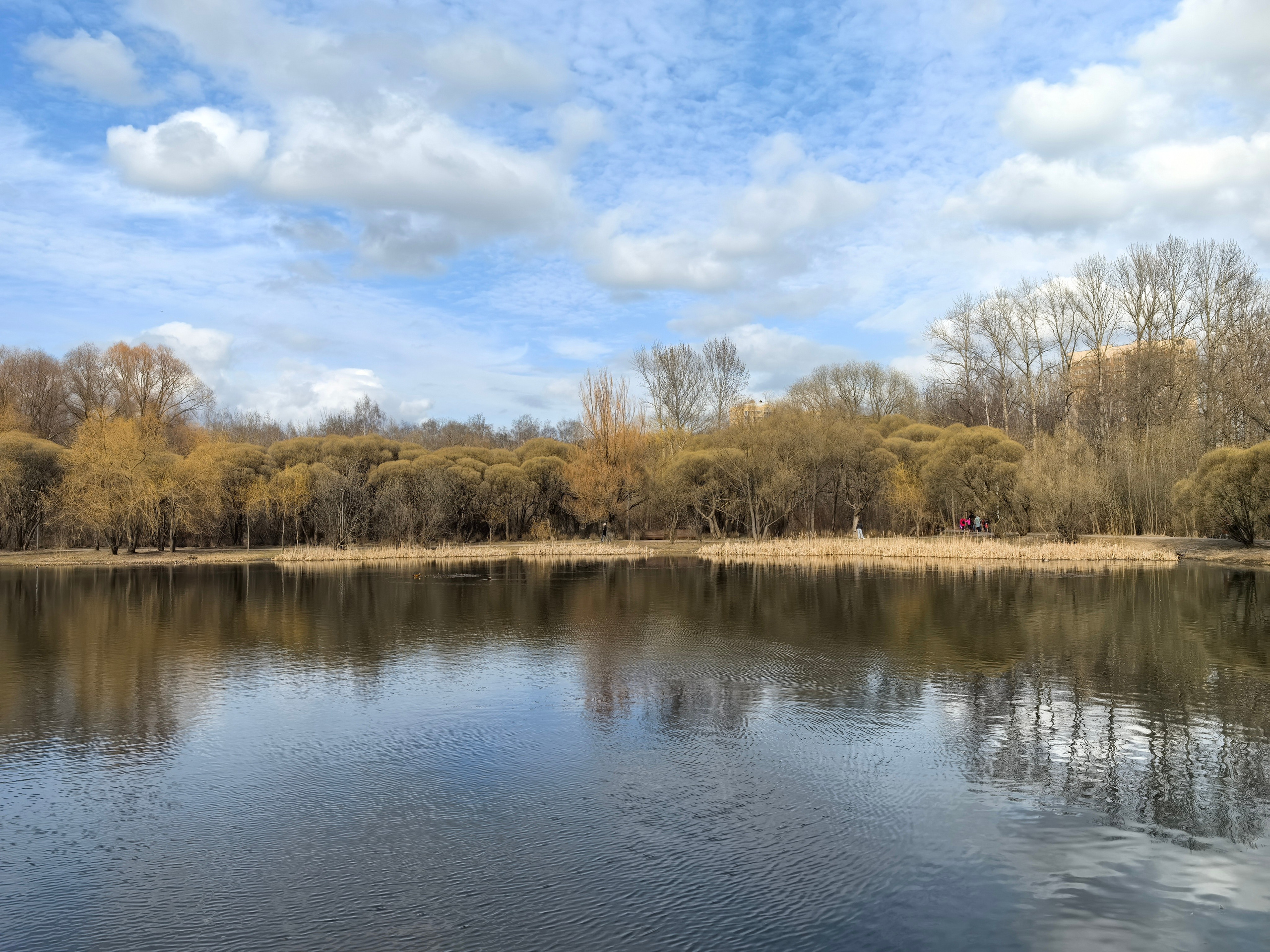 Покровско-Стрешнево. Школьные выпускные альбомы в Москве Марина Николаева