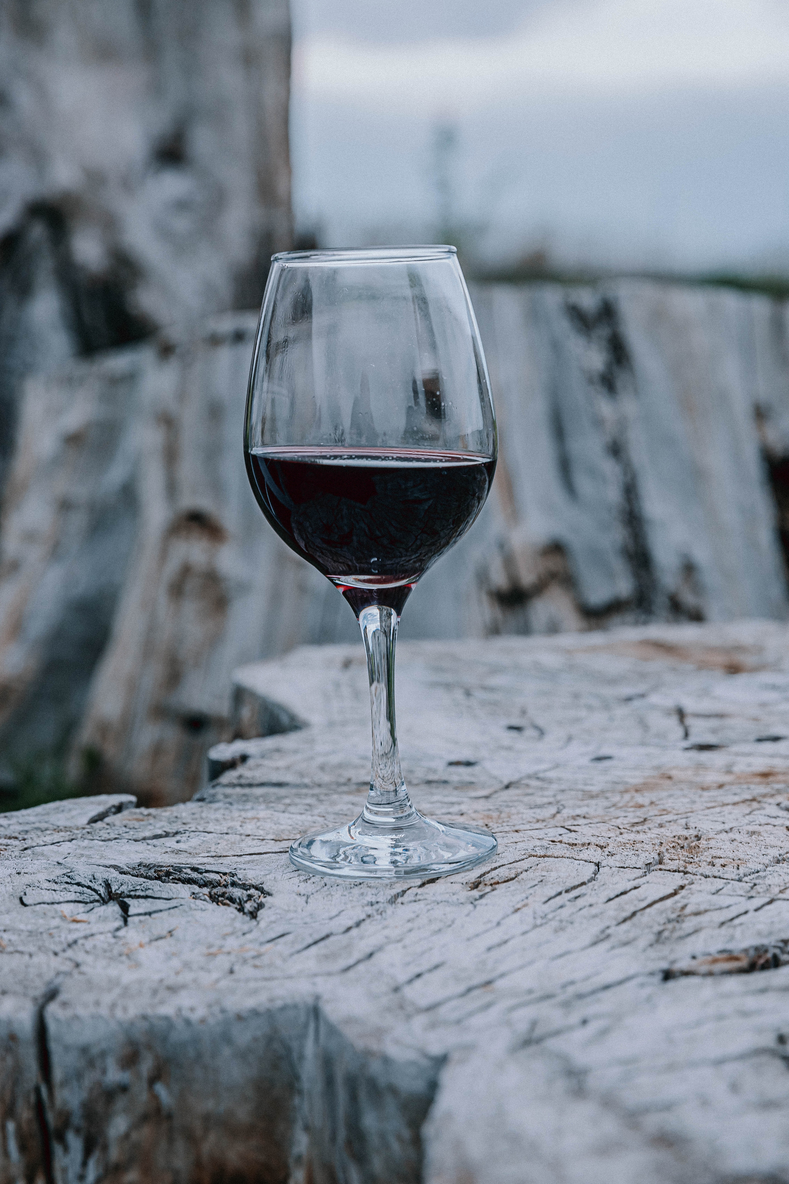 Репортажная съёмка networking Tbilisi концерт Merab Amzoevi. Свадебный фотограф Грузия Тбилиси