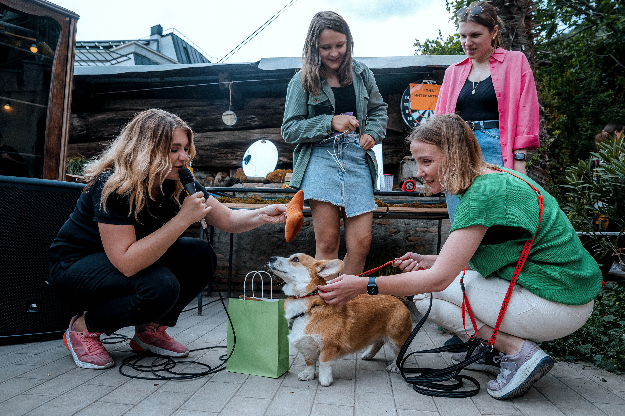 Фестиваль собак pet pro репортаж Тбилиси. Свадебный фотограф Грузия Тбилиси